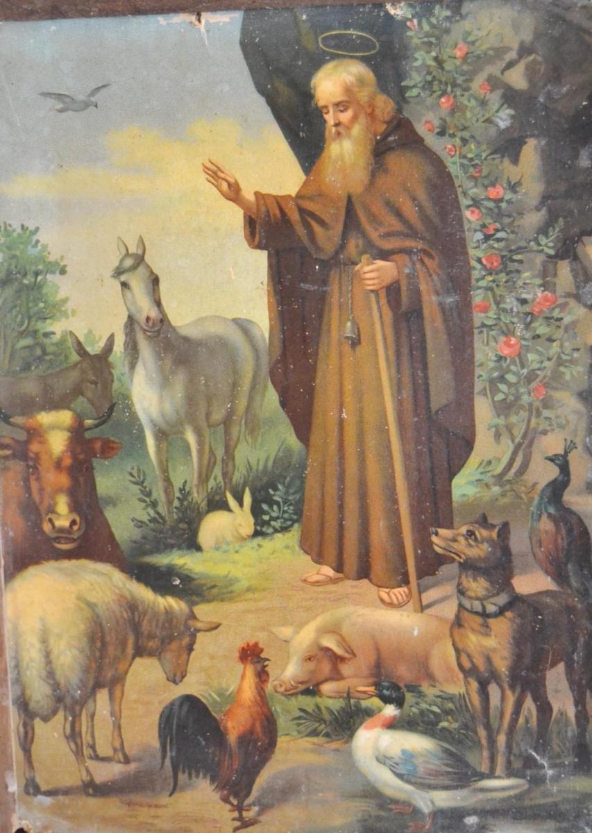 Photo 38