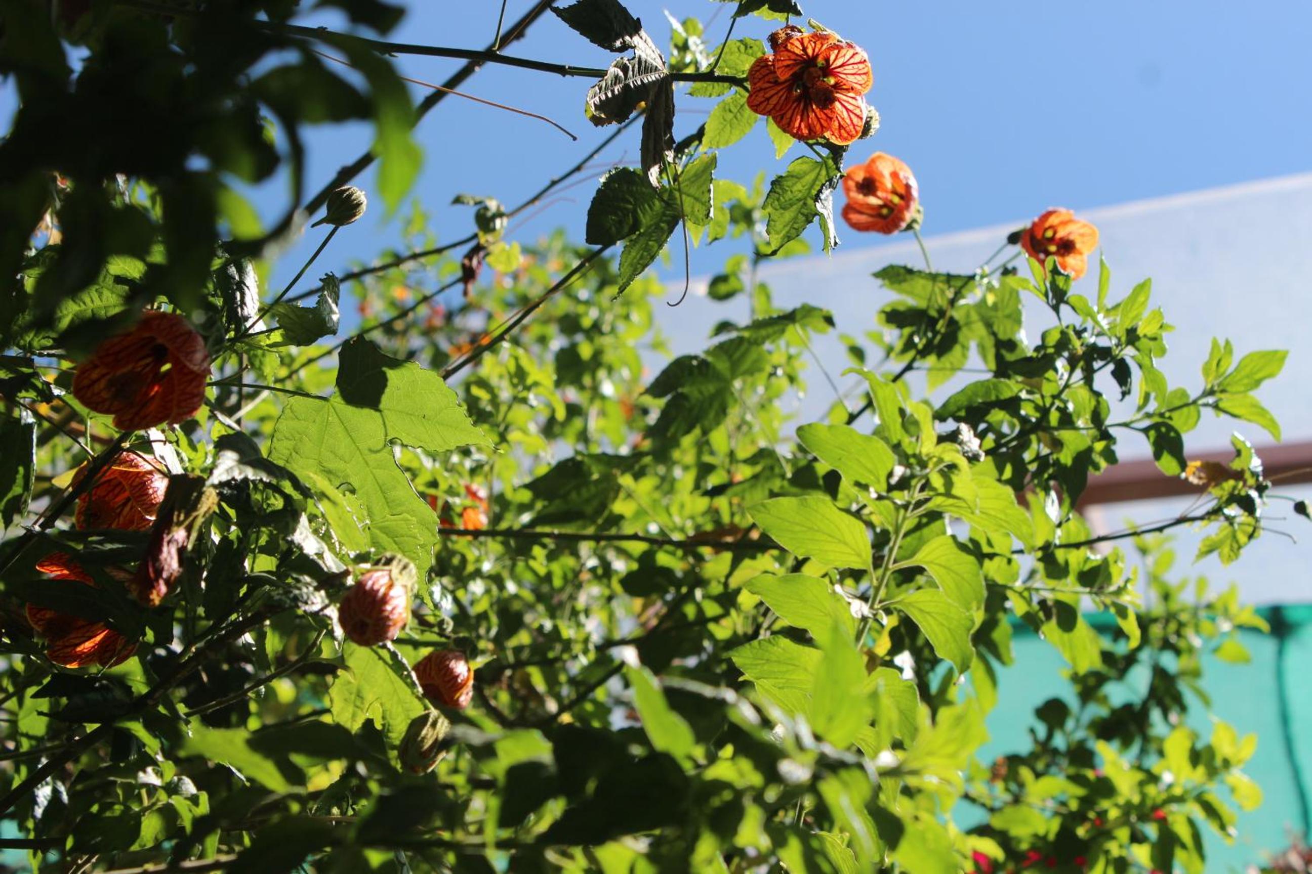 Photo 41