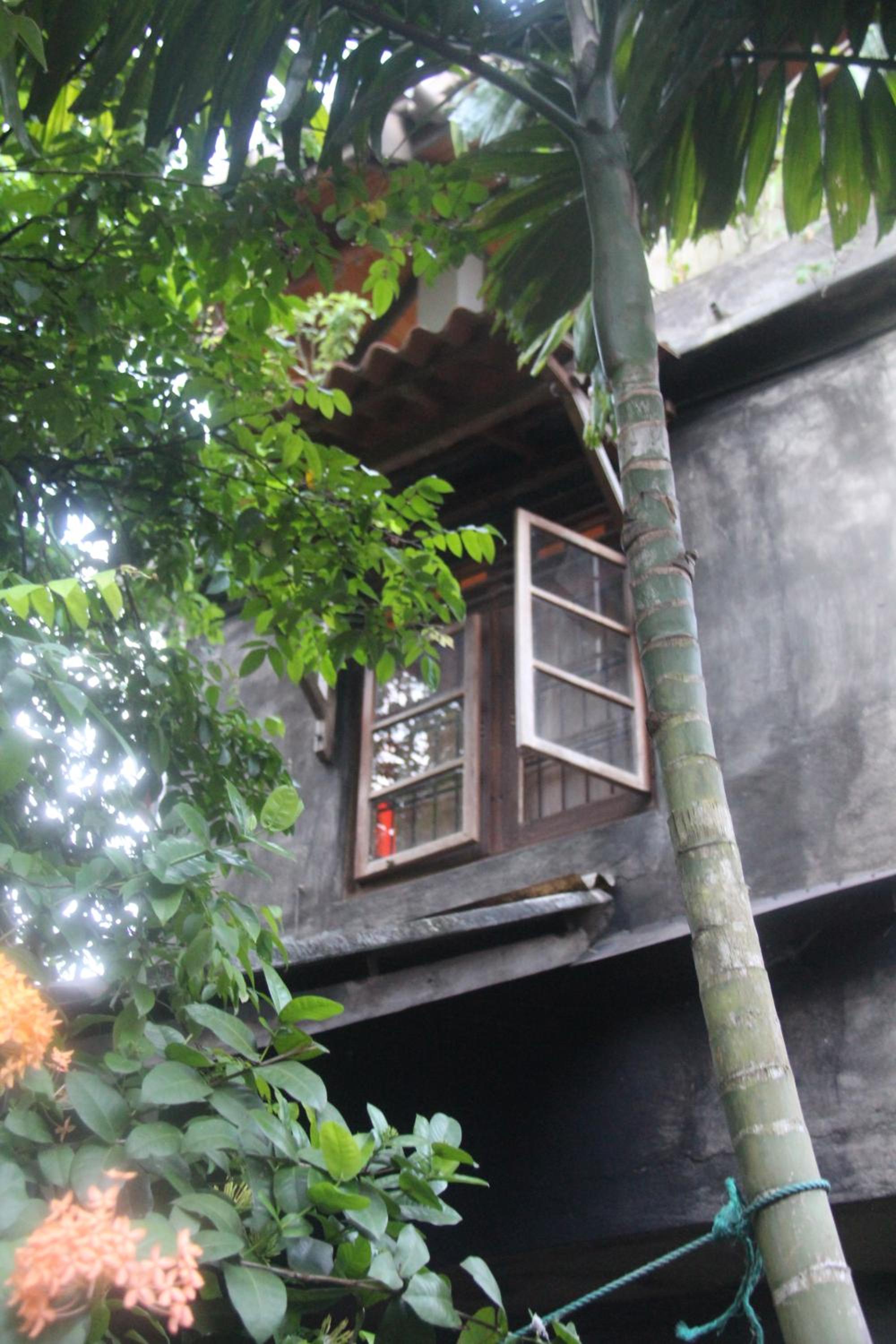 Photo 22