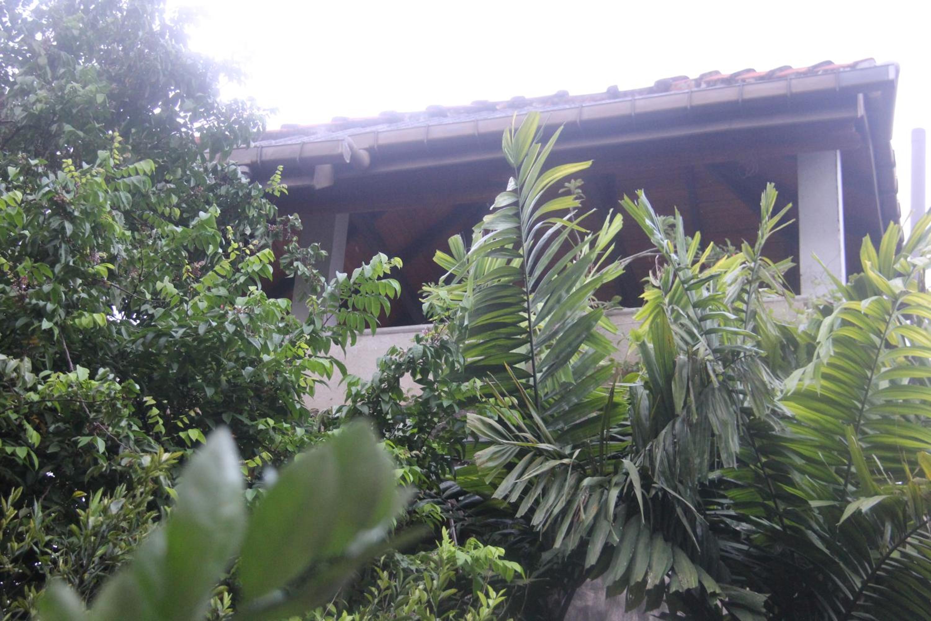 Photo 25