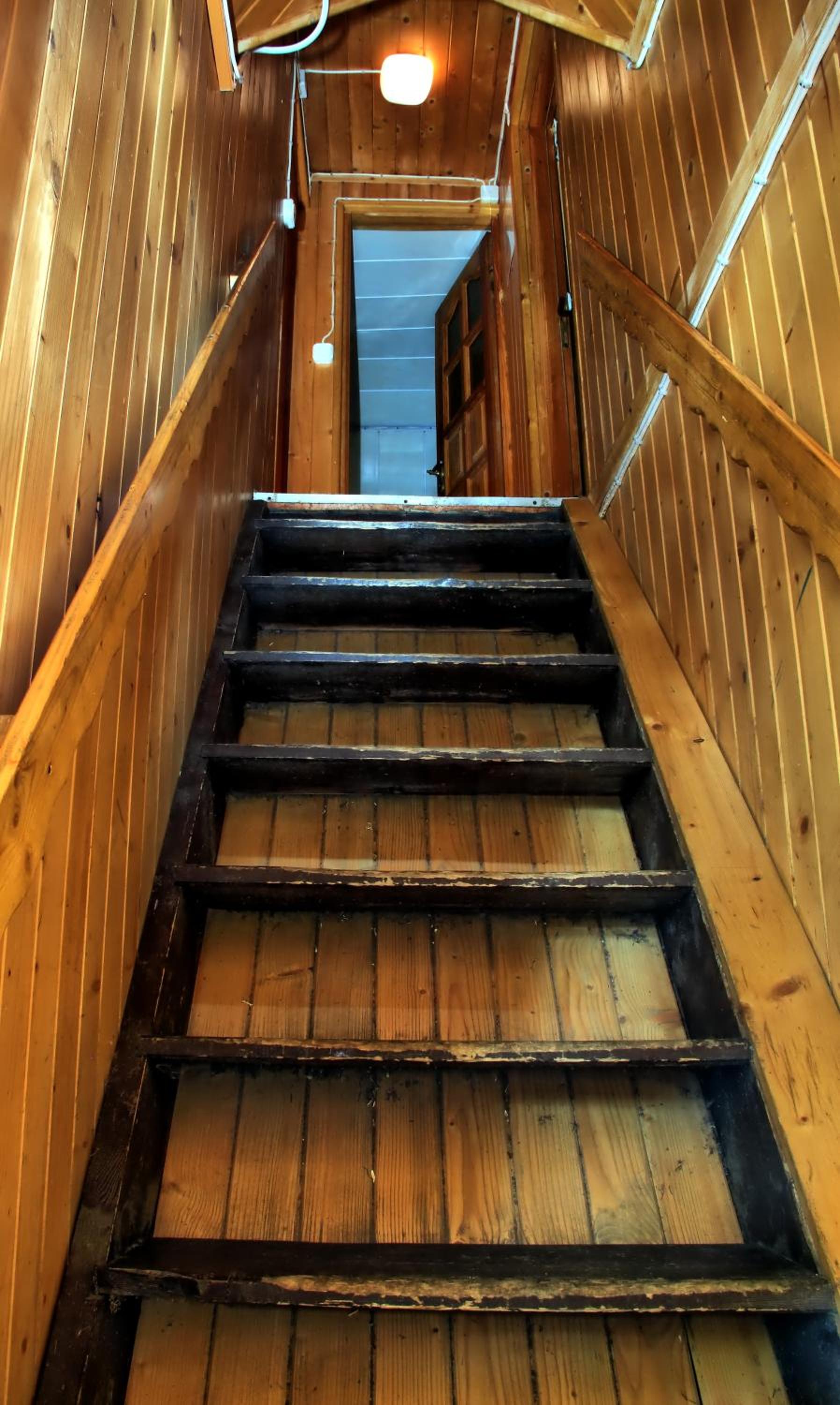 Photo 11