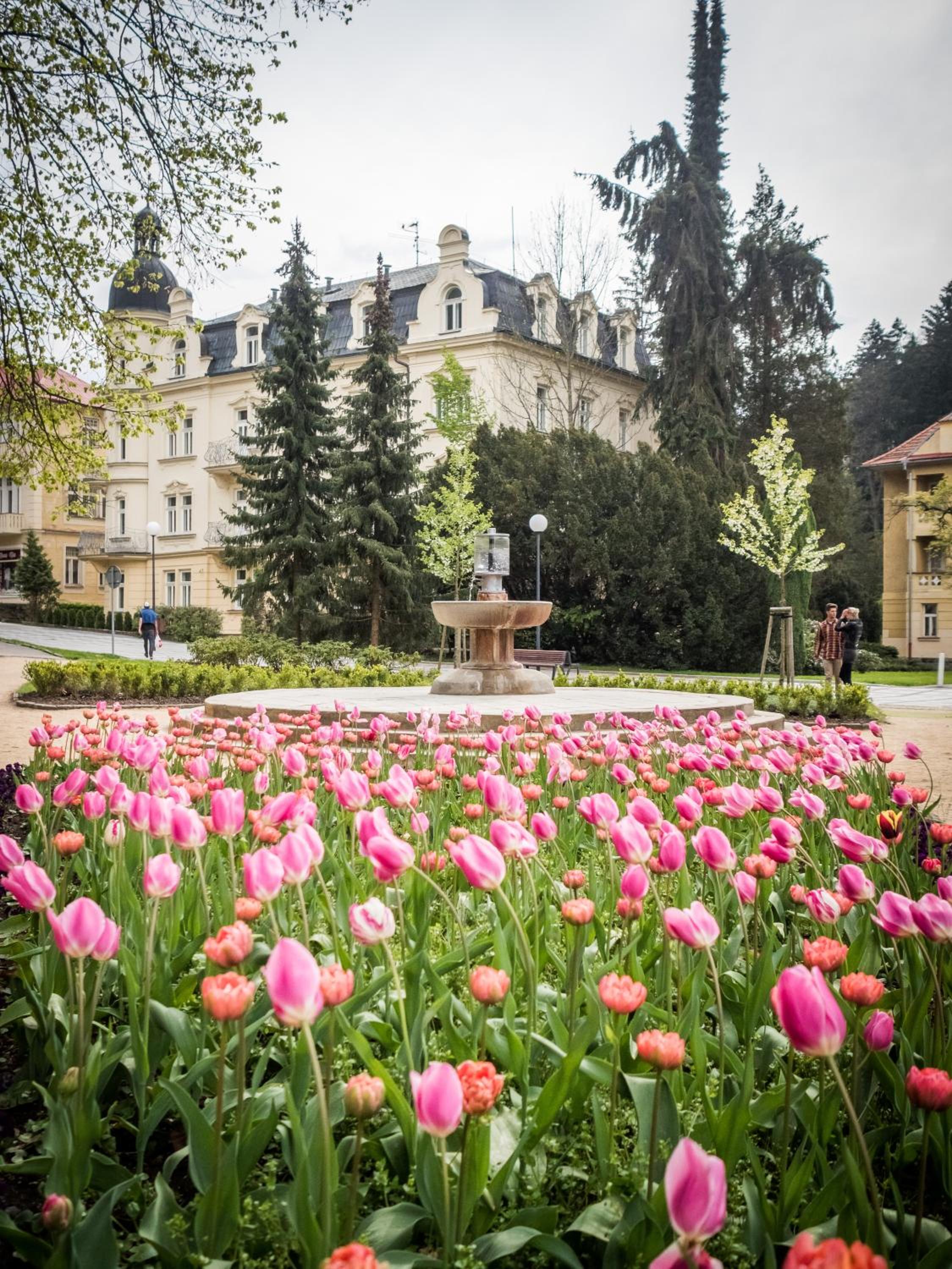 Hotel Apartmány Kolonáda - Image 1