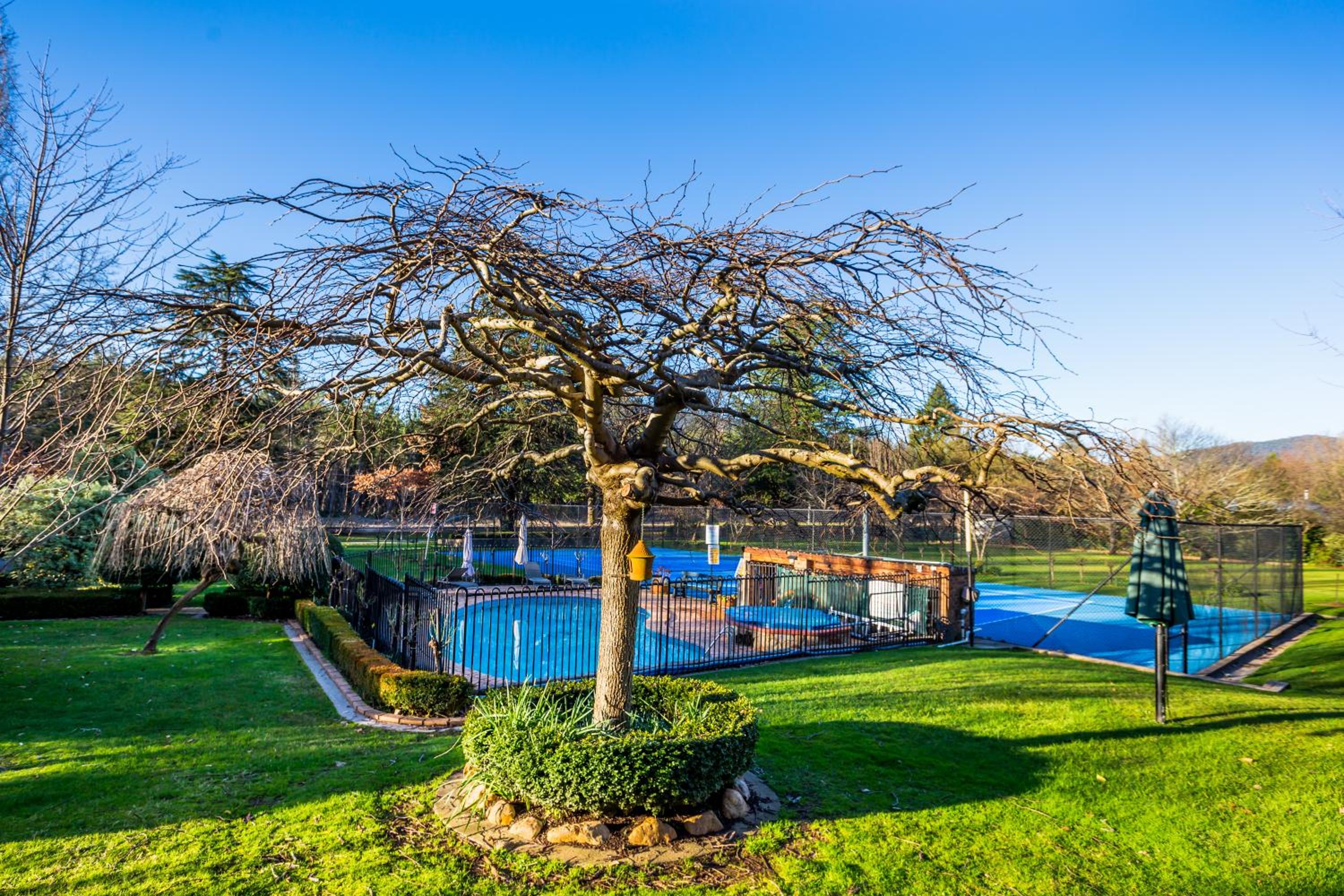 Chestnut Tree Holiday Units