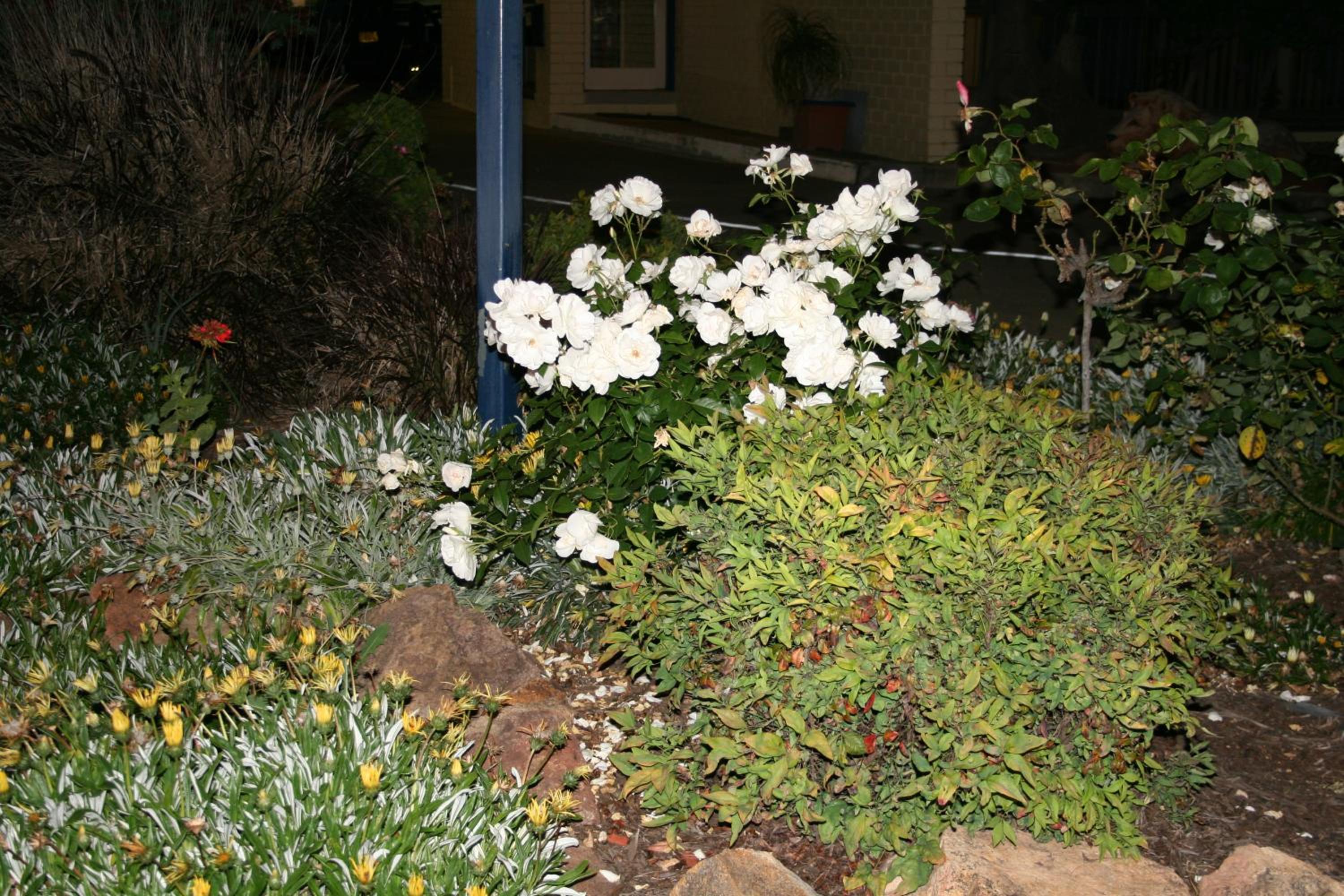 Photo 30