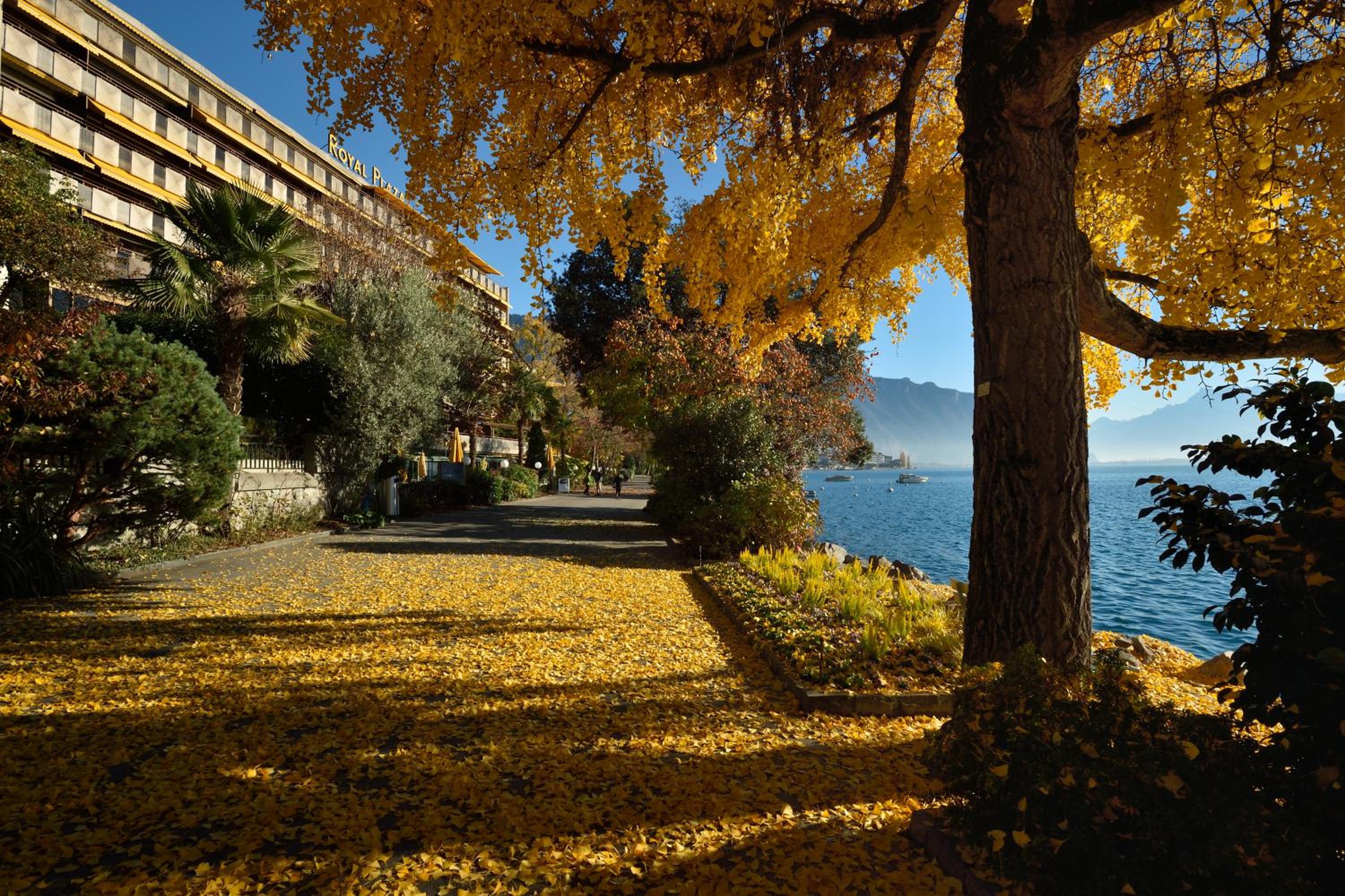 Hotel Royal Plaza Montreux