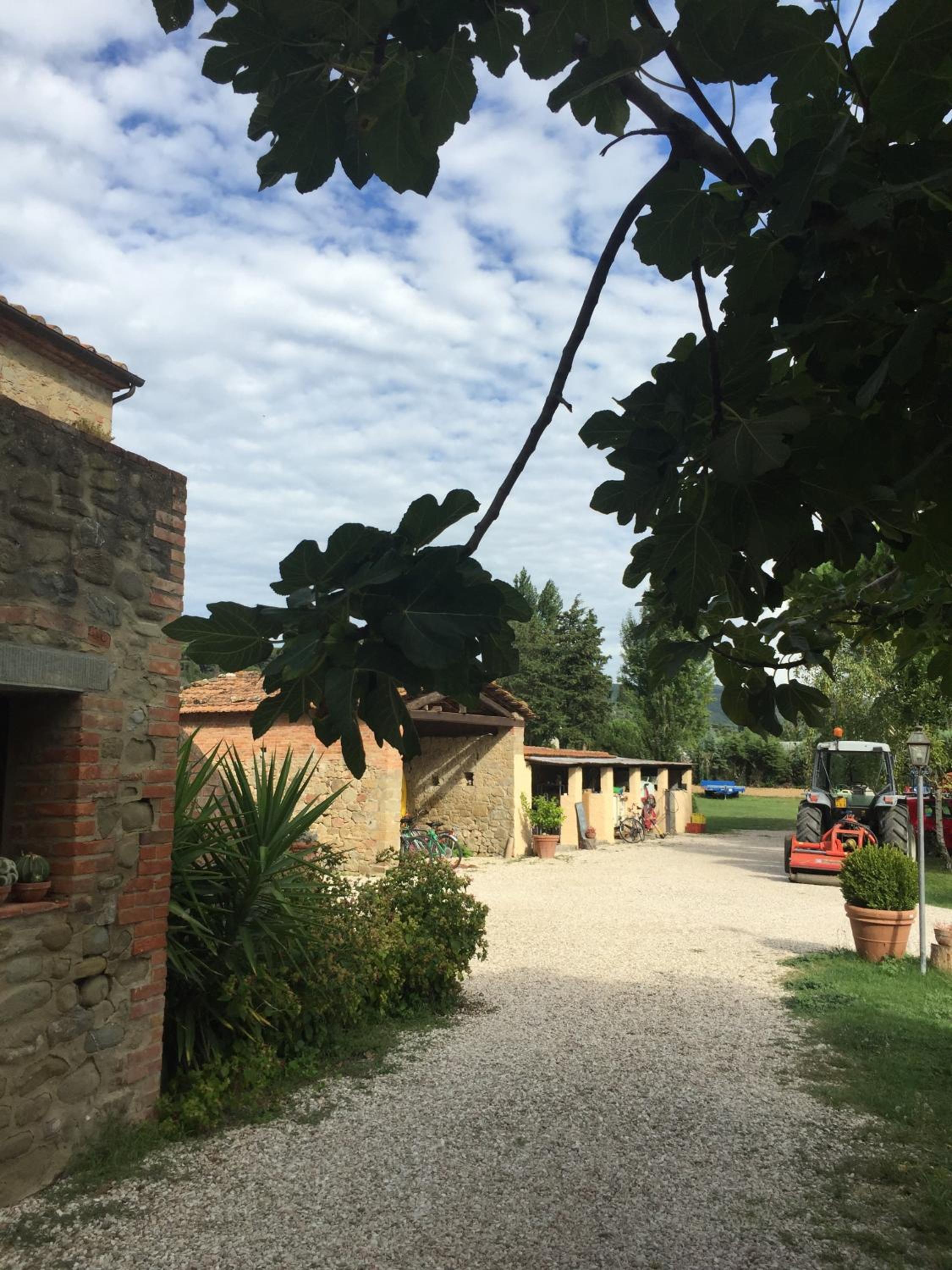 Il Piratello - Agriturismo Baldeschi