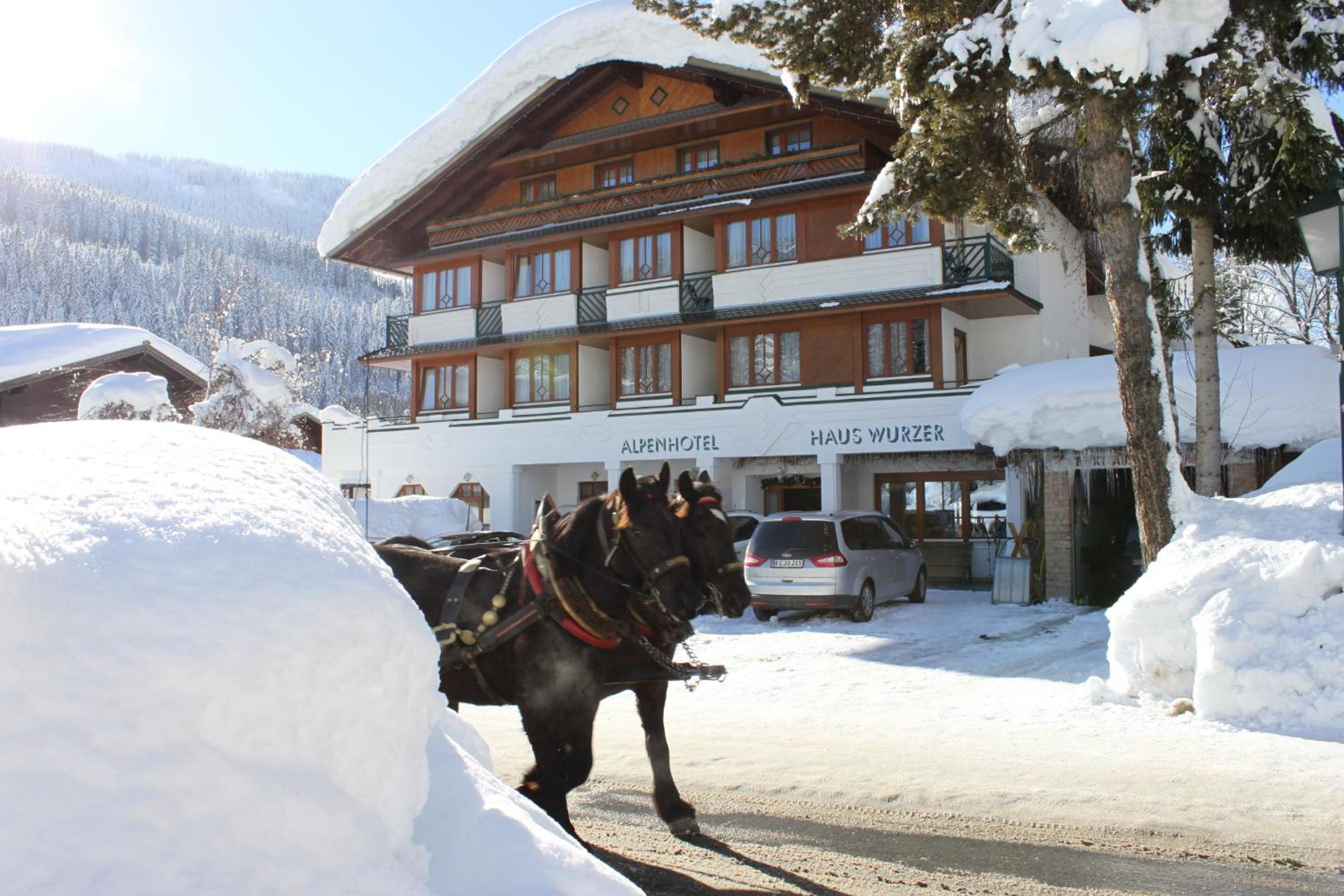 Hotel Alpenhotel Wurzer - Image 1