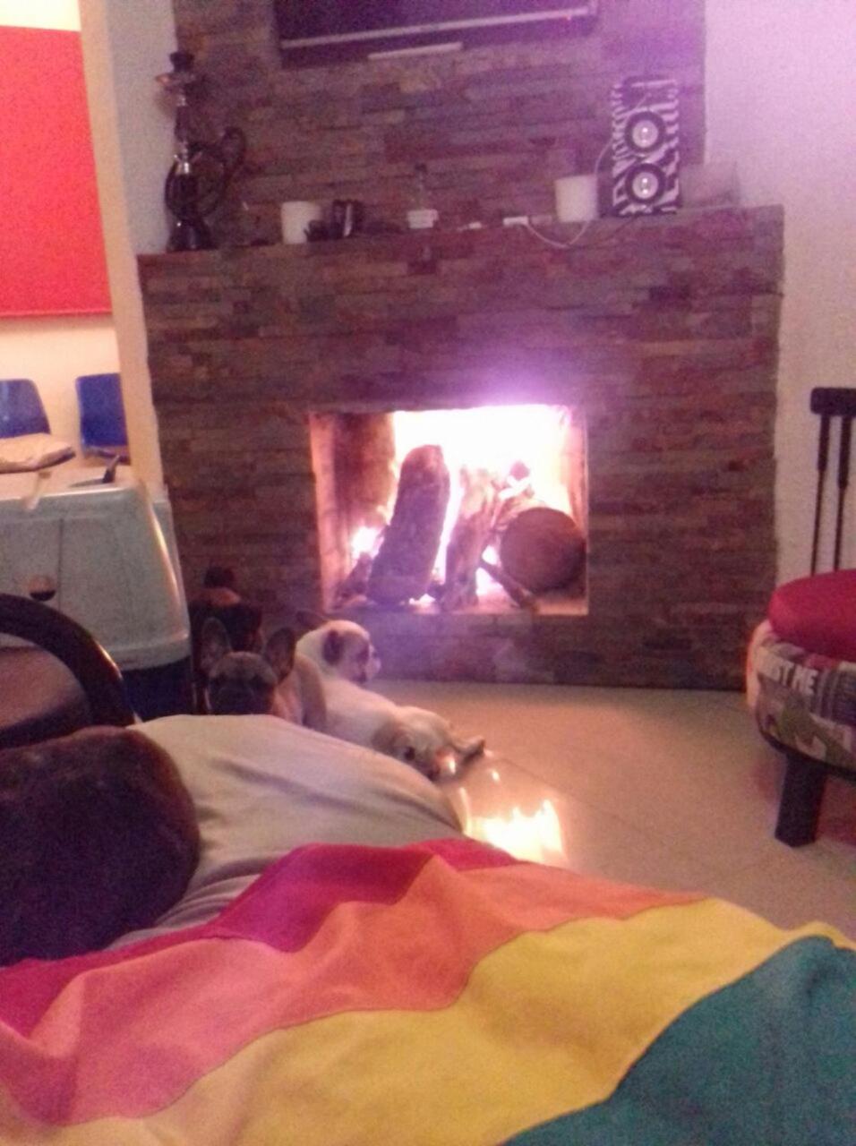 Photo 15