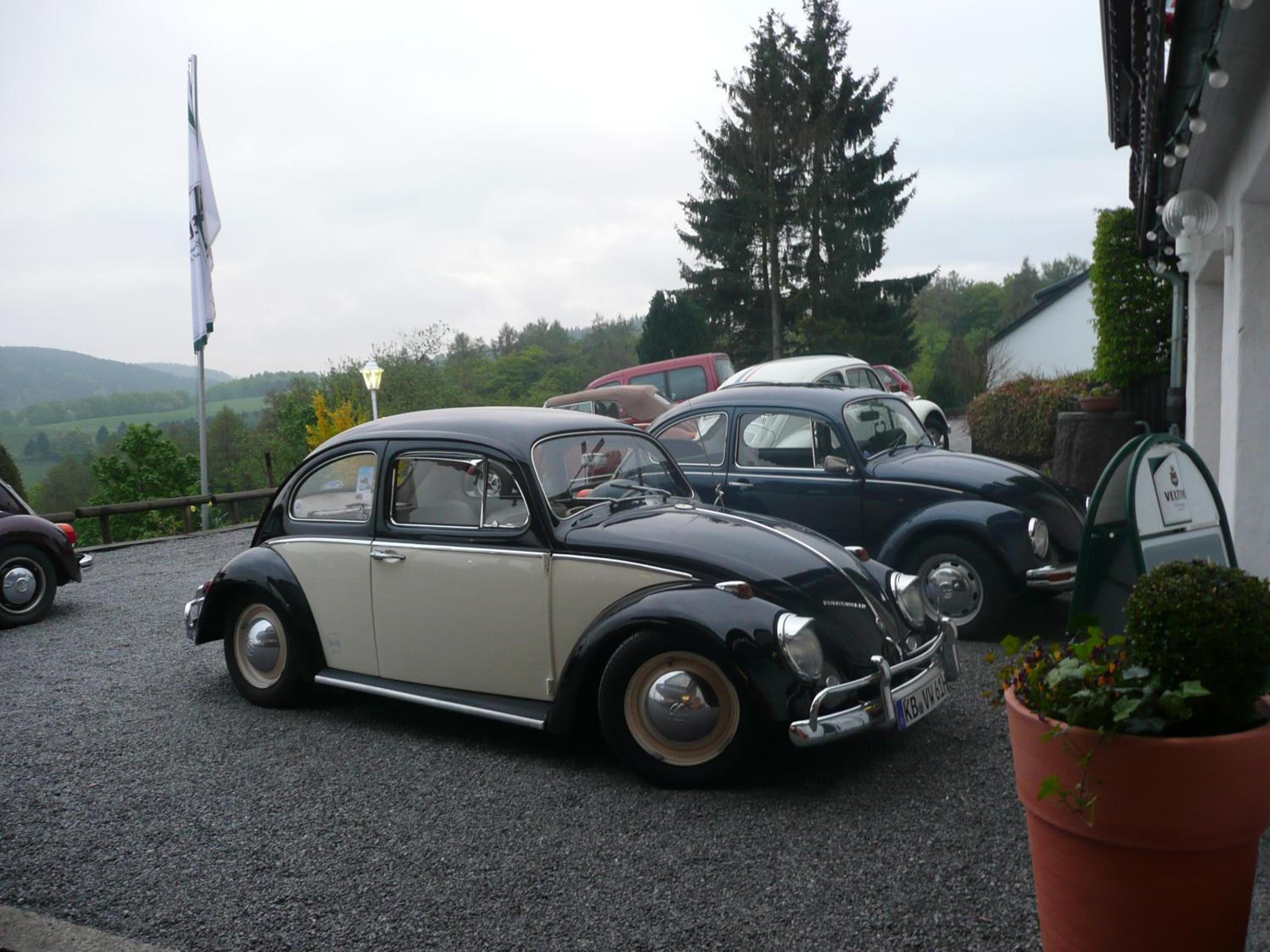 Café- Pension Fernblick, incl MeineCardPlus