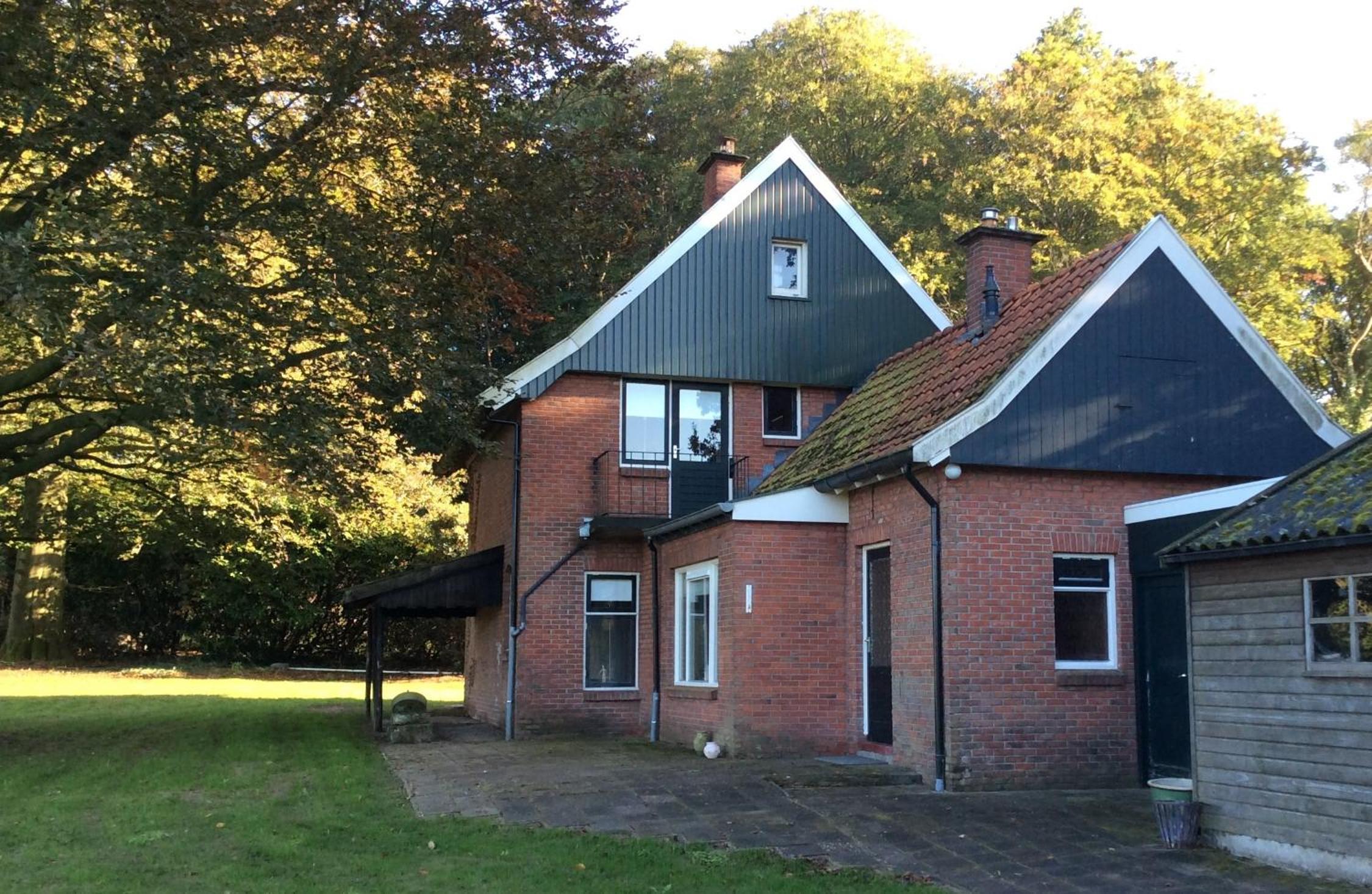 Photo 12