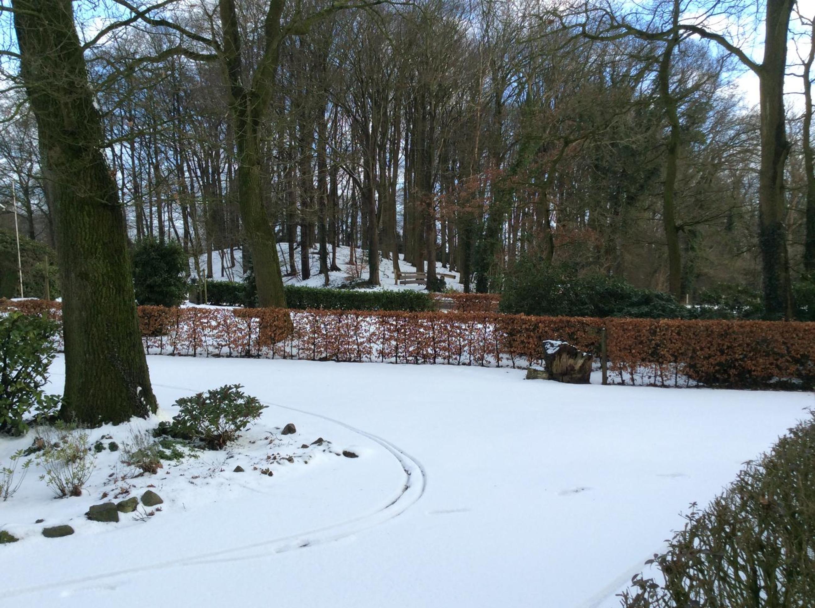 Photo 13