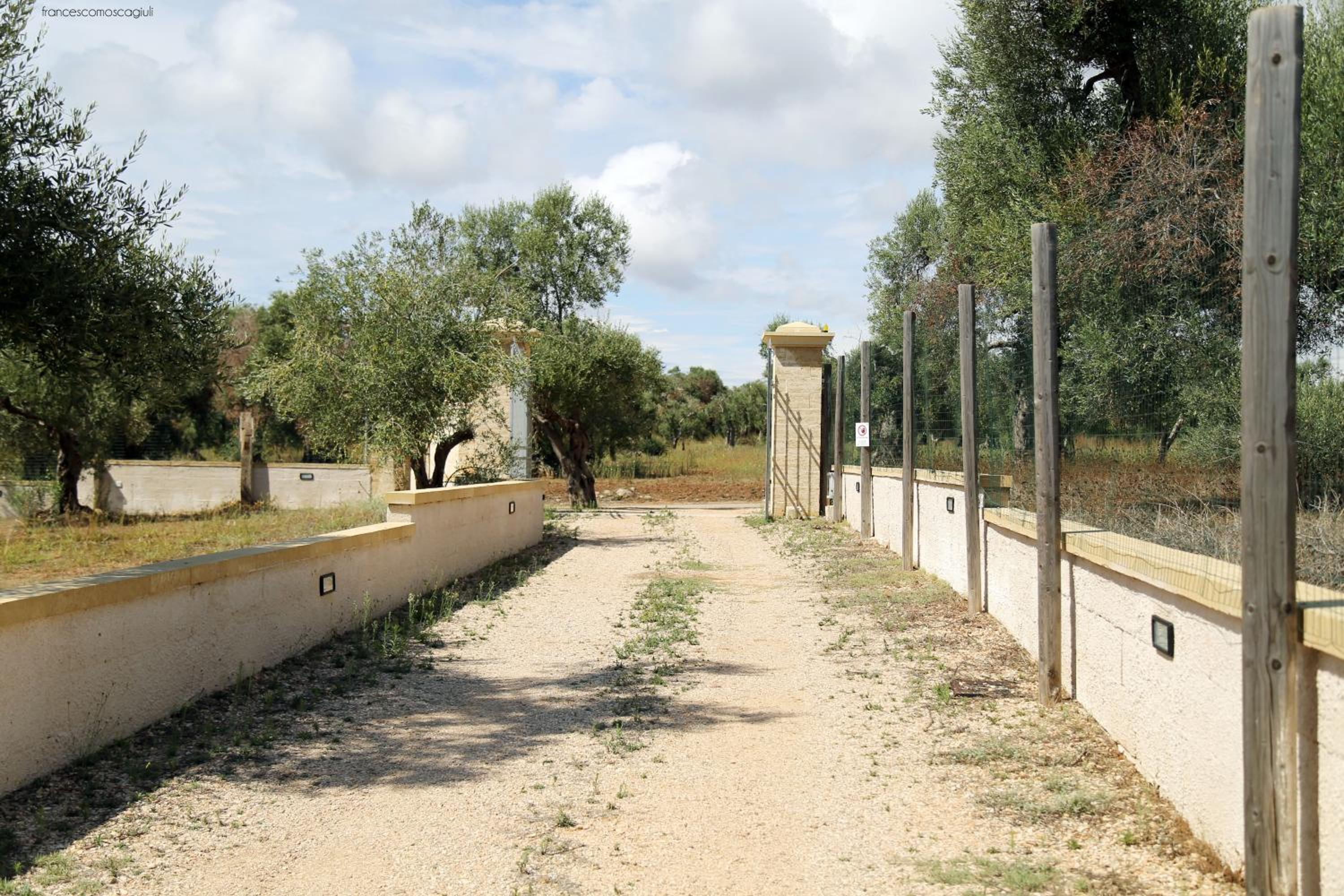 Casale de li Canti view 4