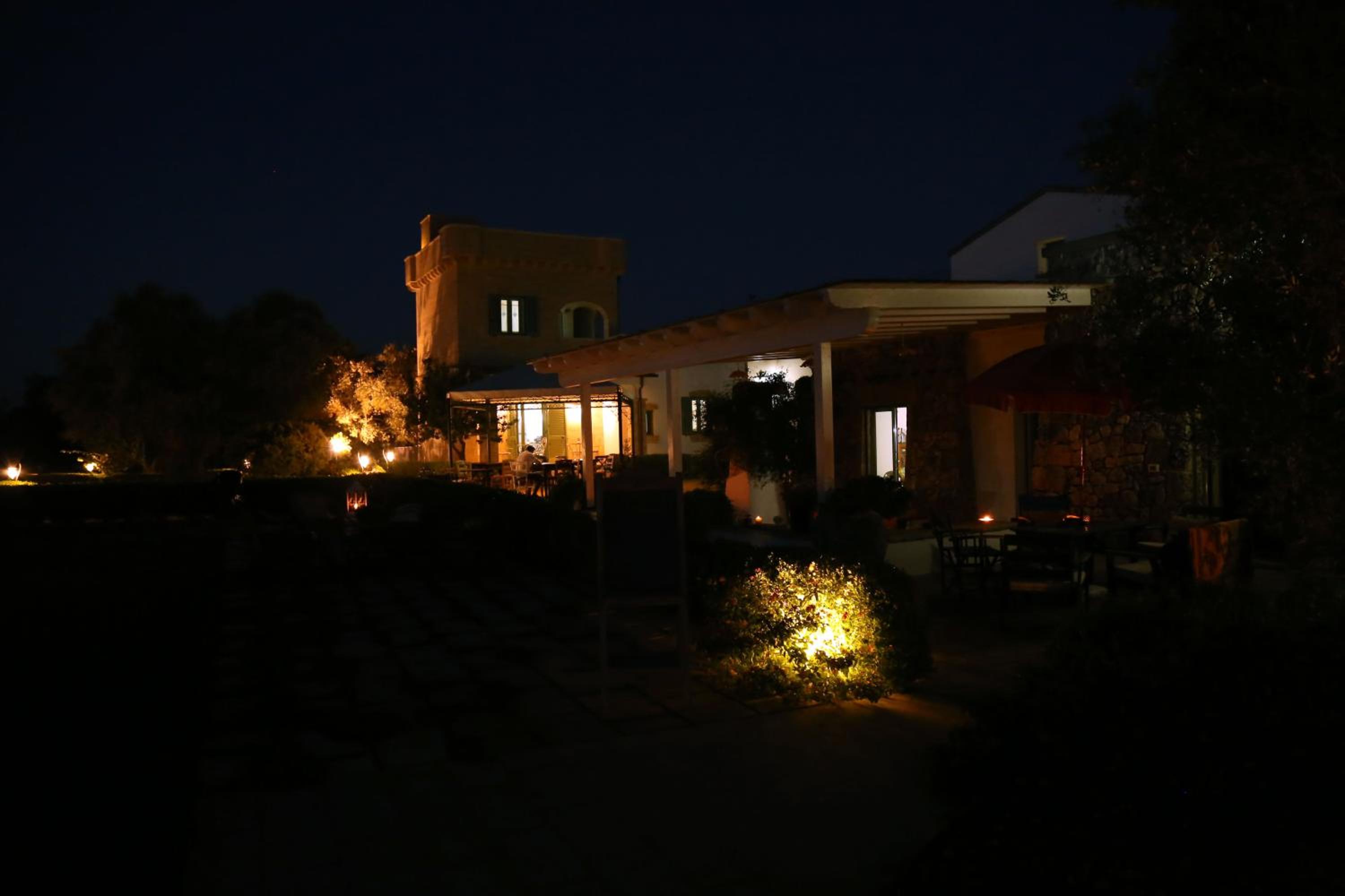 Photo 50