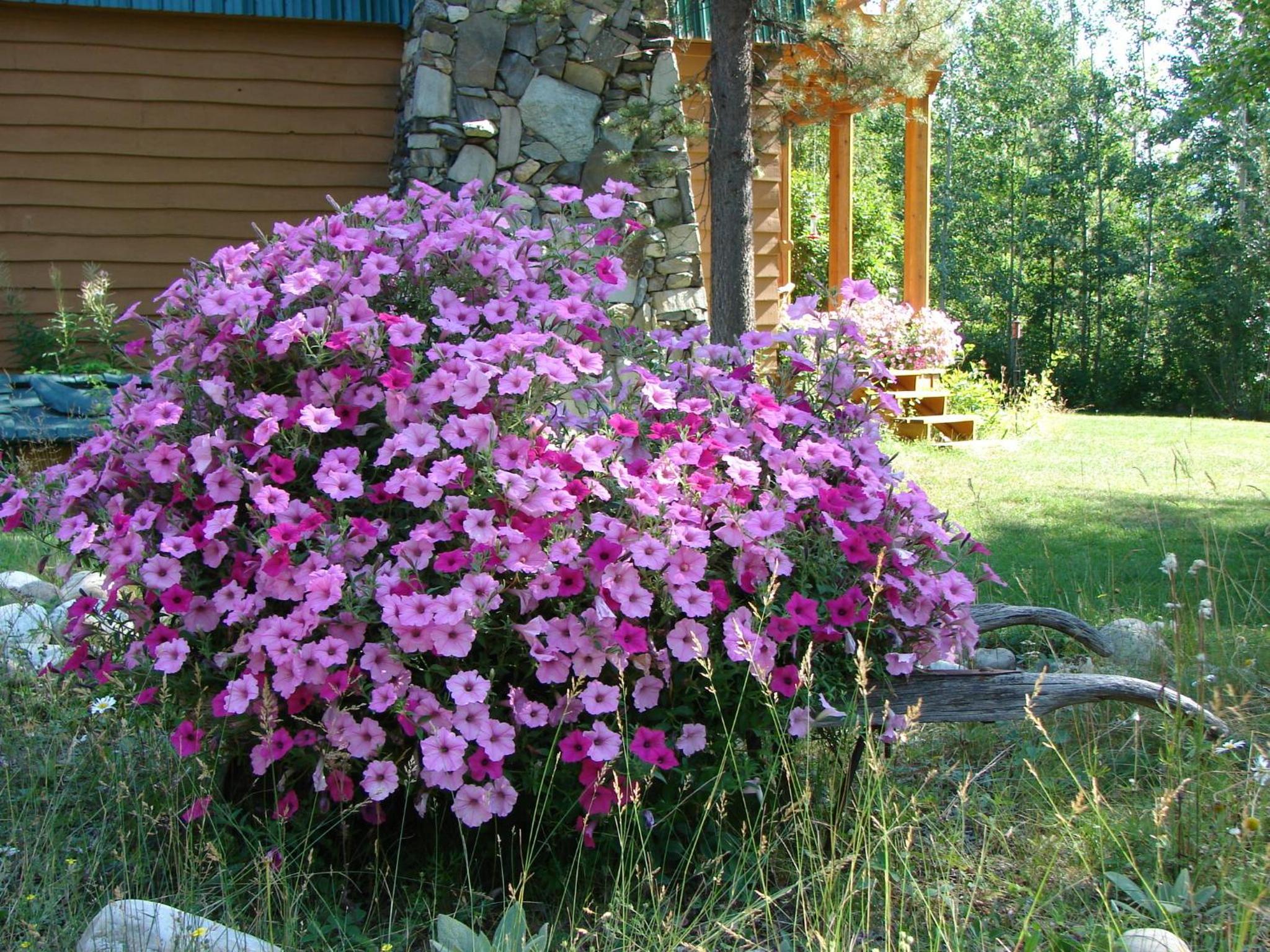Photo 26
