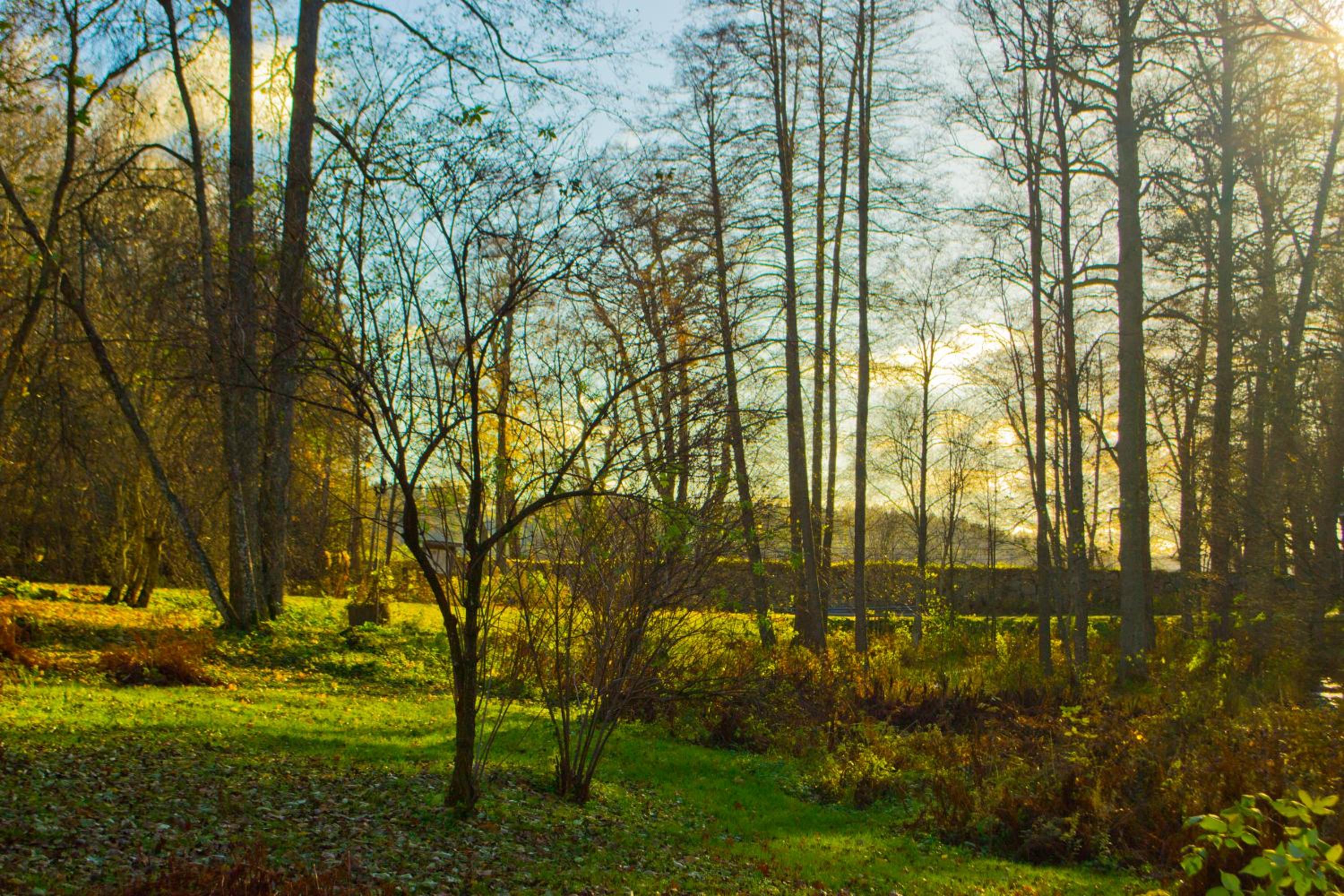 Kirjakkalan Ruukkikylä