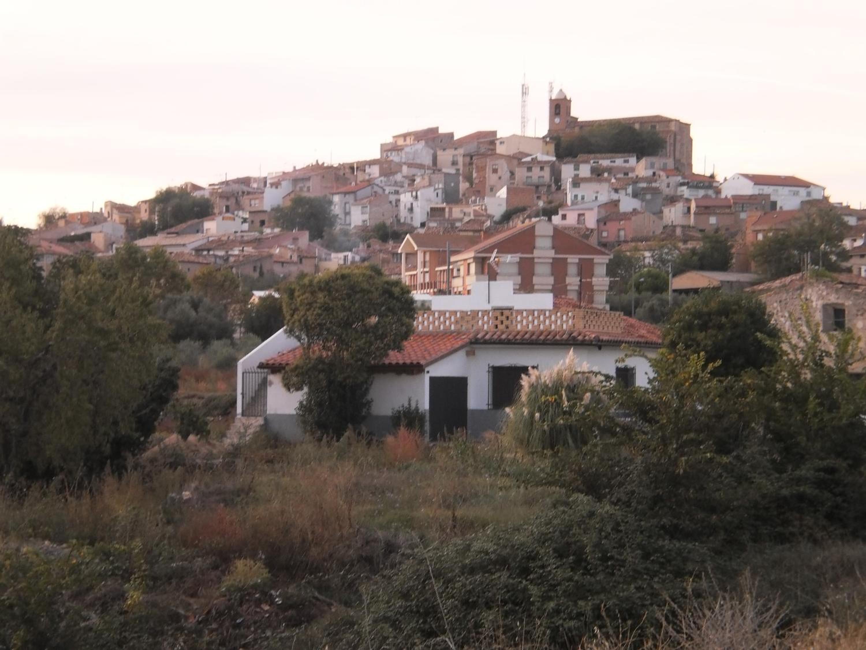 Photo 15