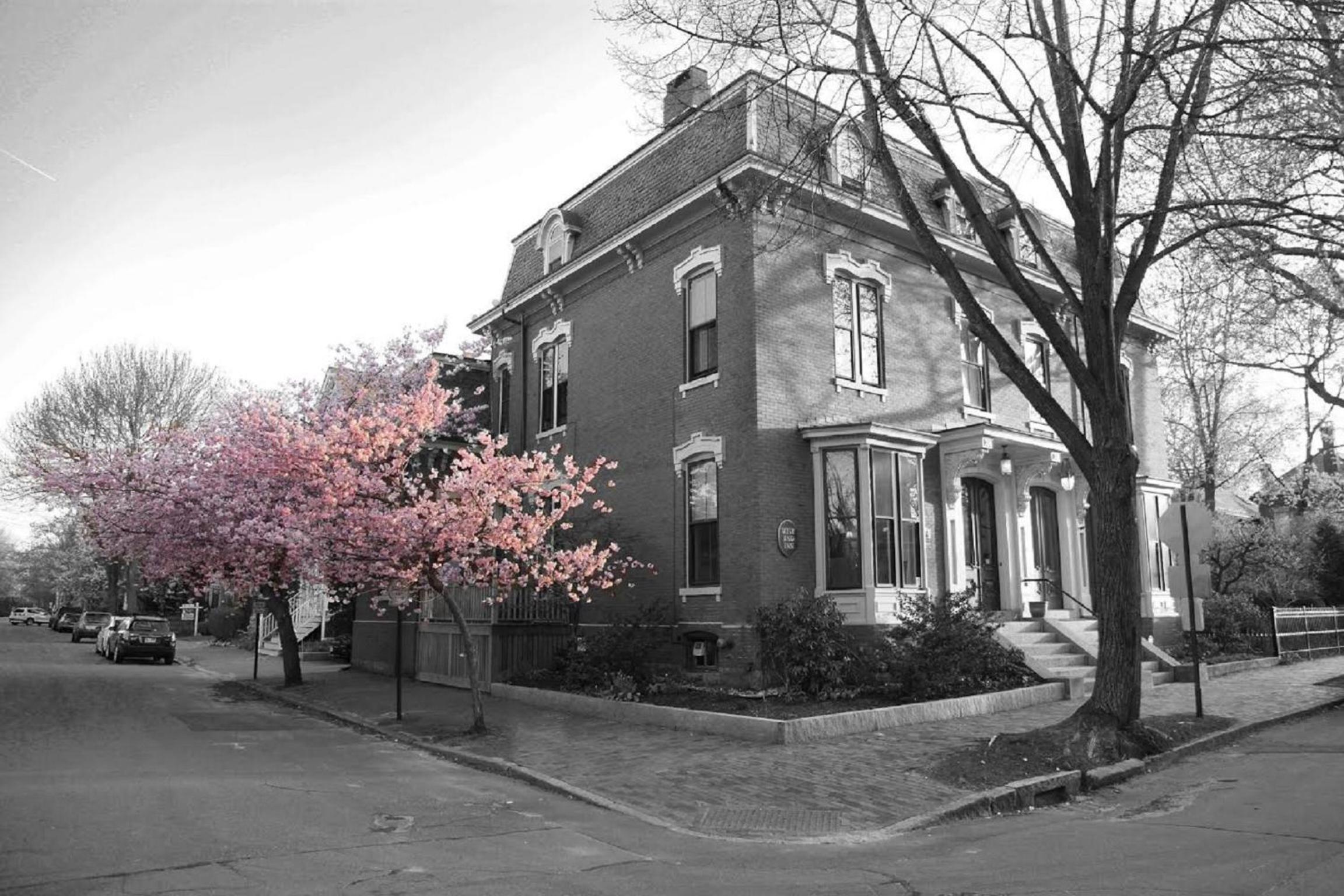 The West End Collection on Pine