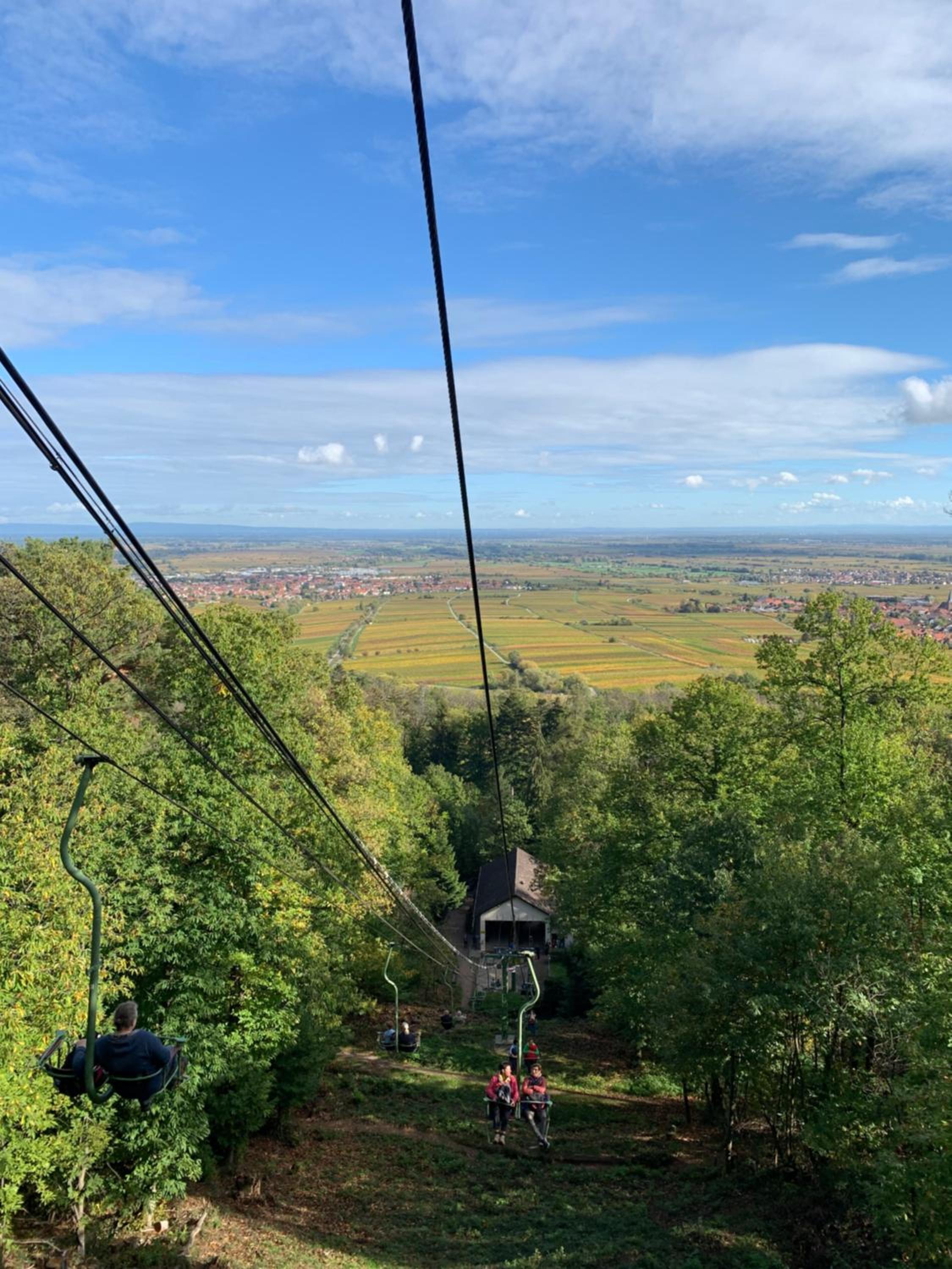 WeinQuartier Minges, photo 6