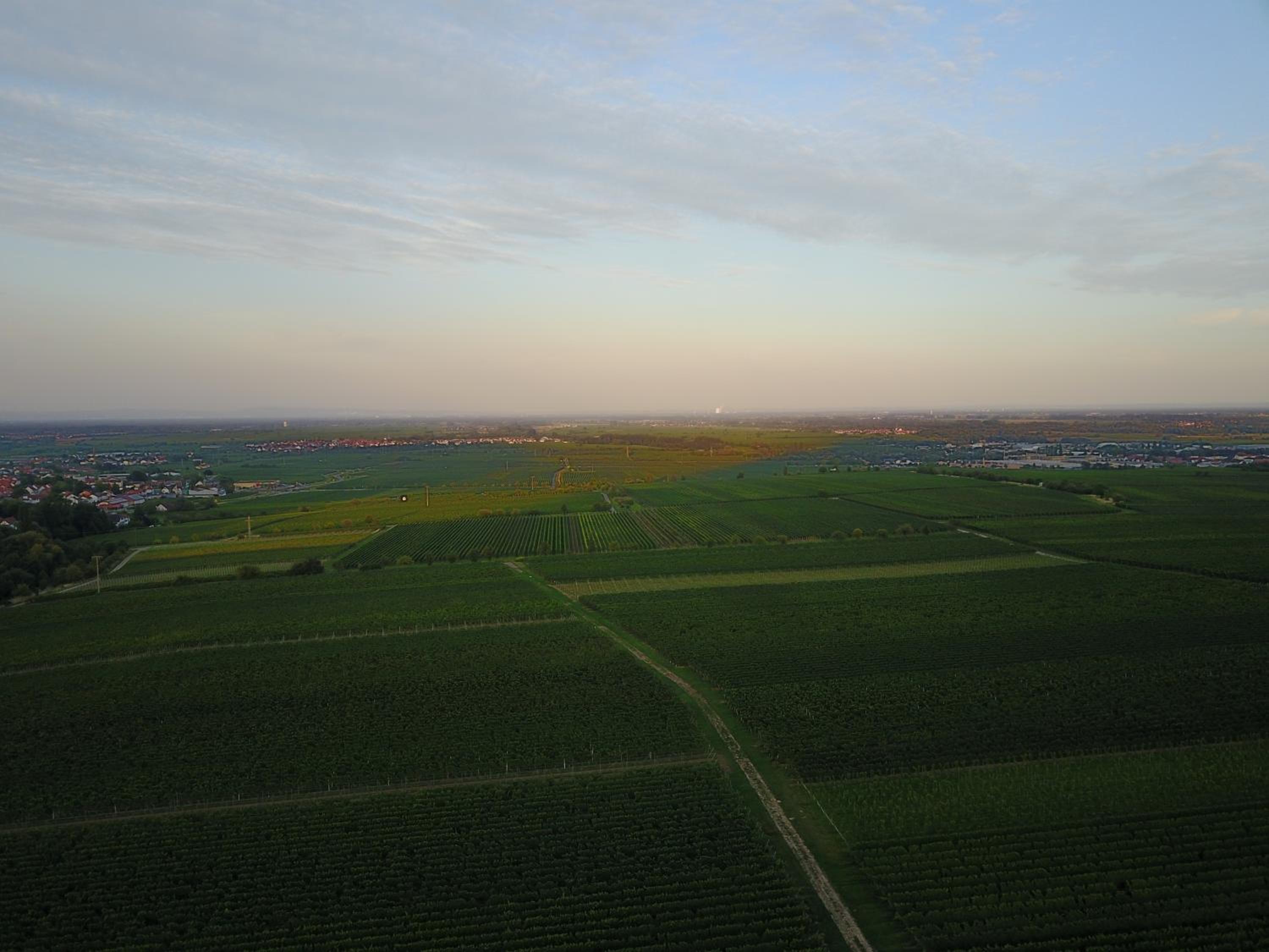 WeinQuartier Minges, photo 16