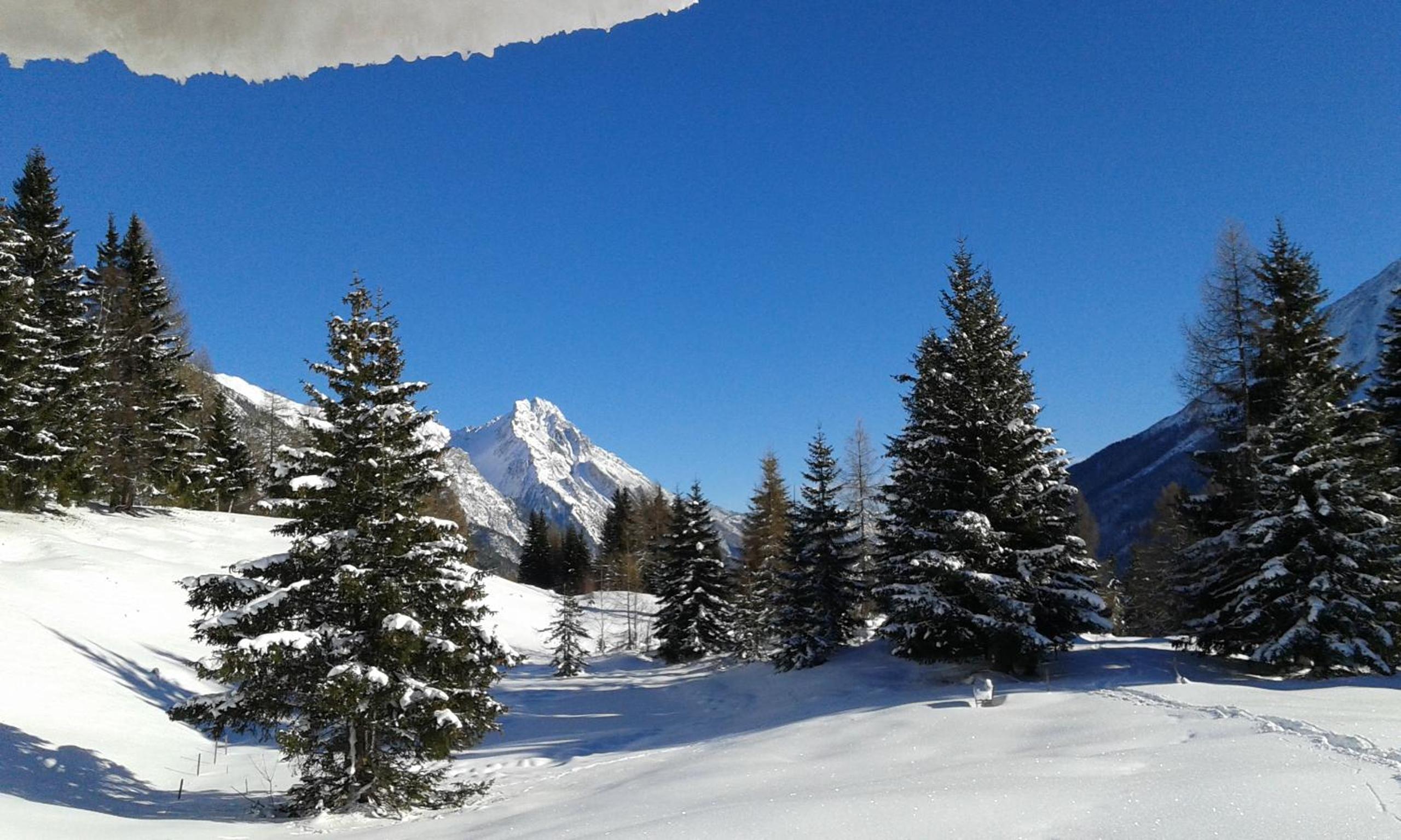 Appartements Tyrol