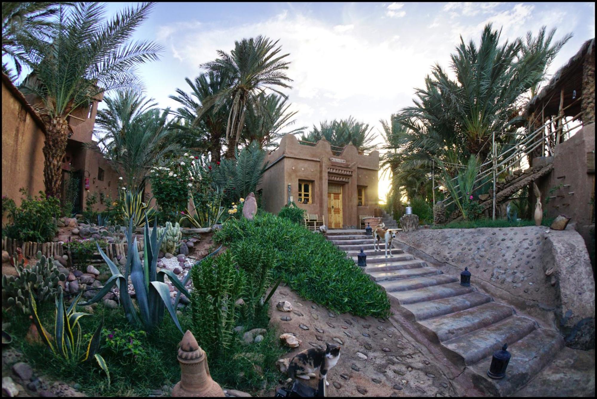 Lodge Hara Oasis