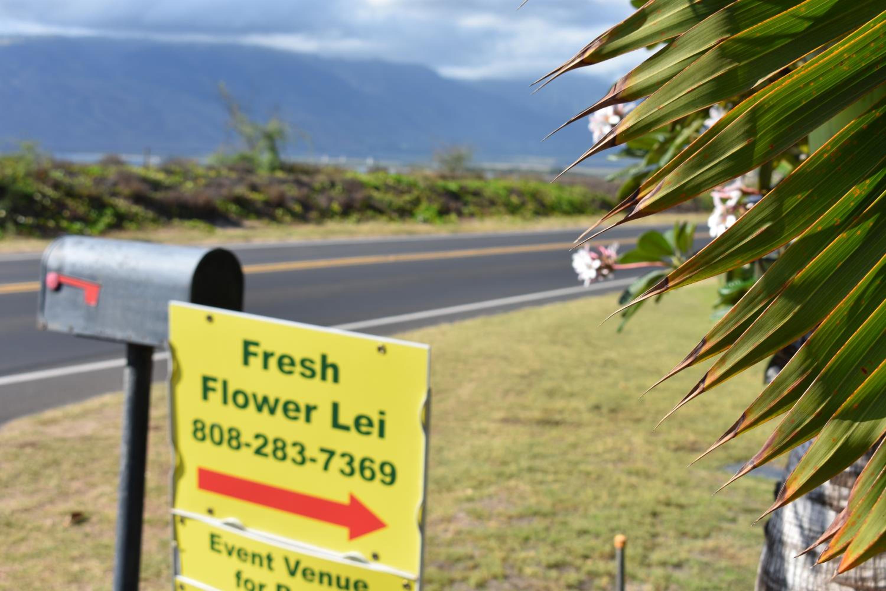 Nona Lani Cottages