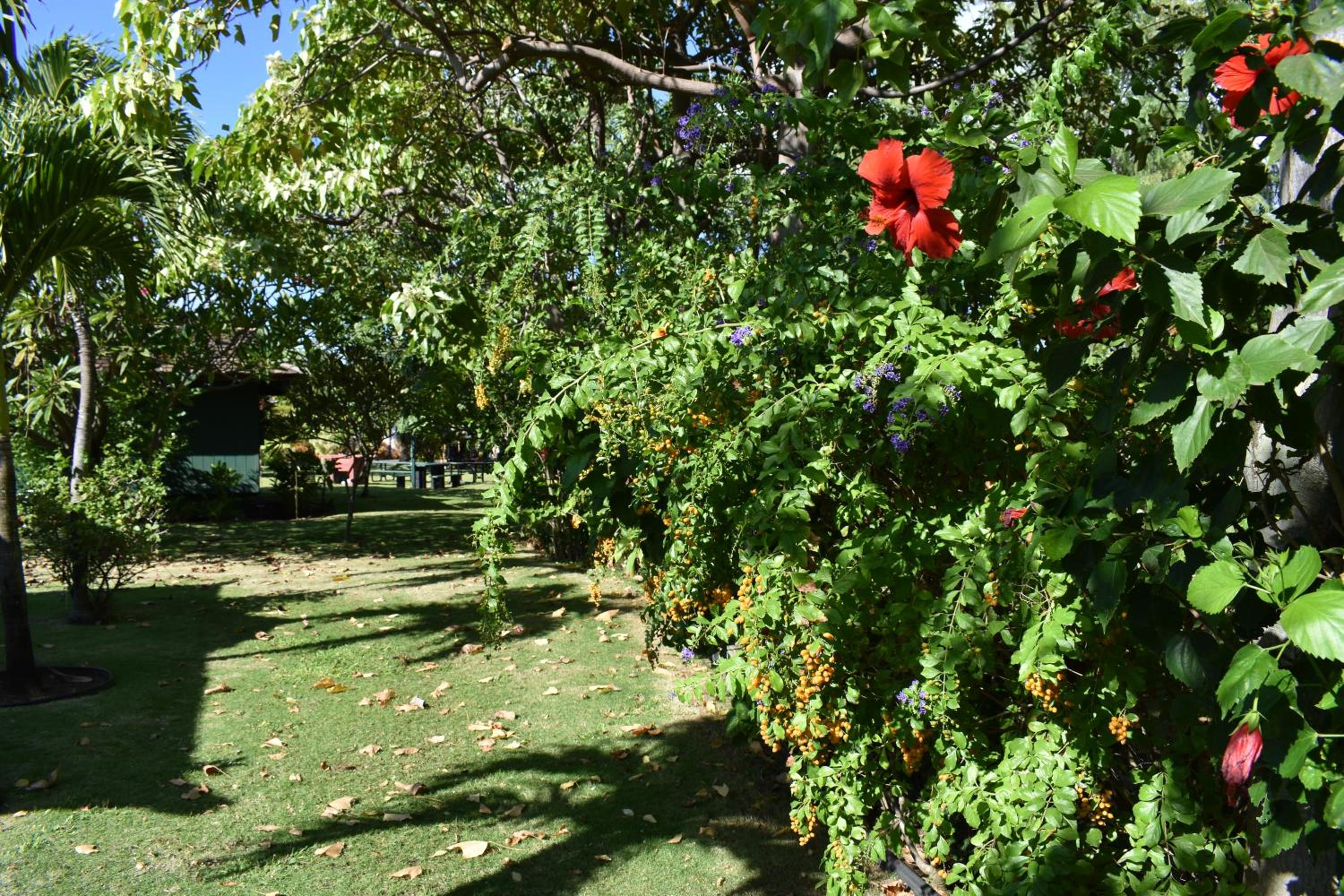 Nona Lani Cottages
