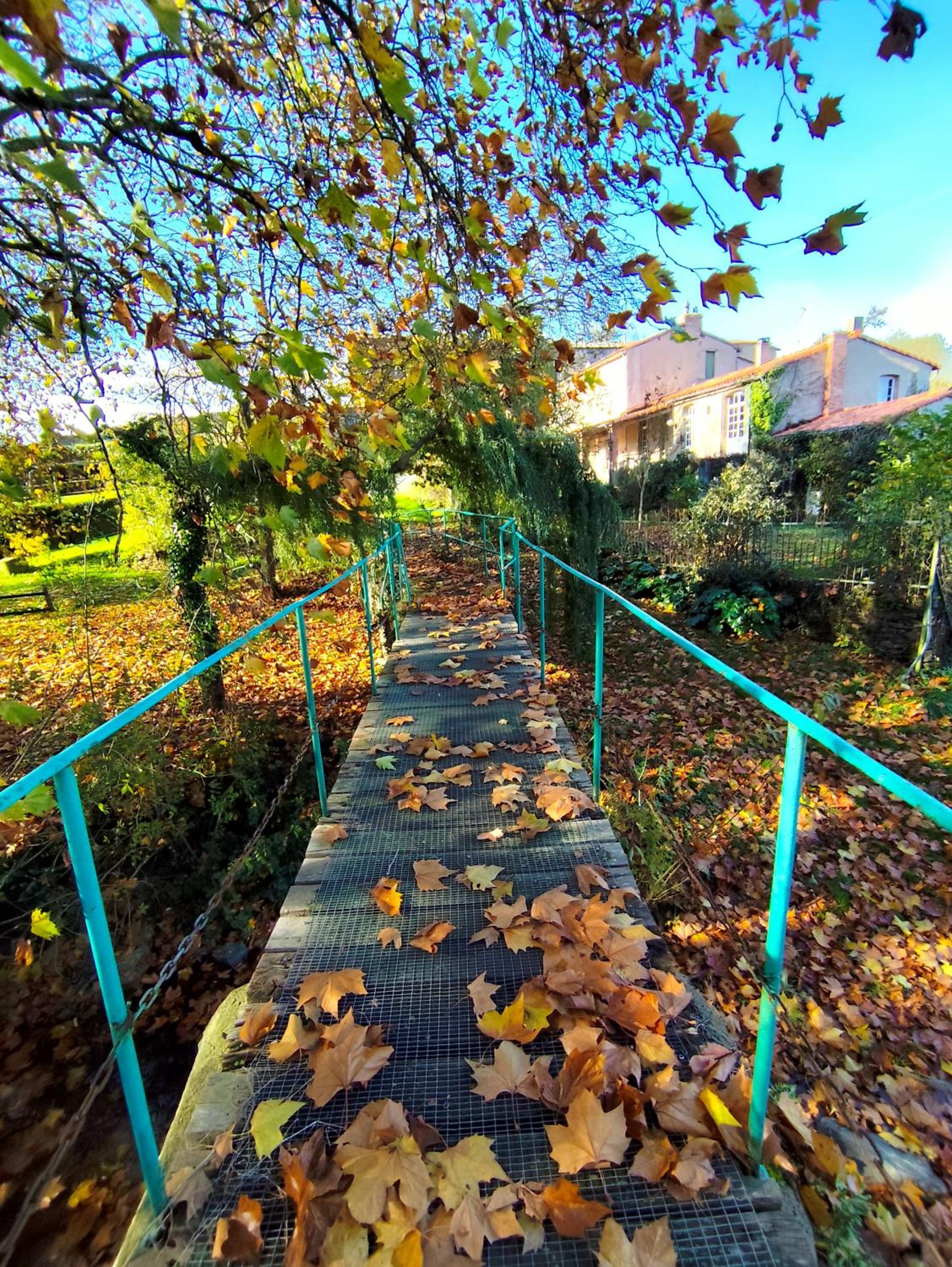 Le Moulin Neuf, photo 7