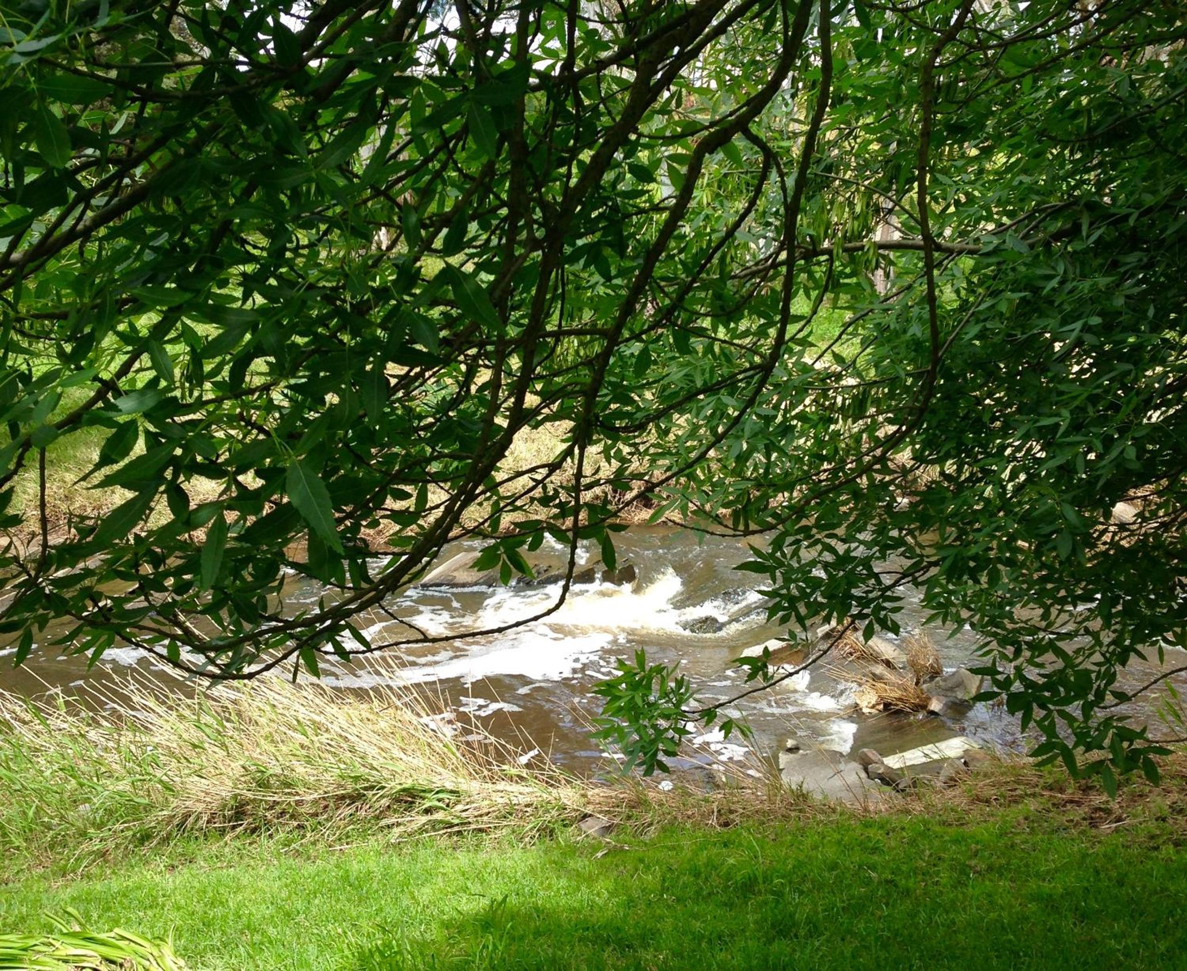 Gasworks Cottages and Gardens