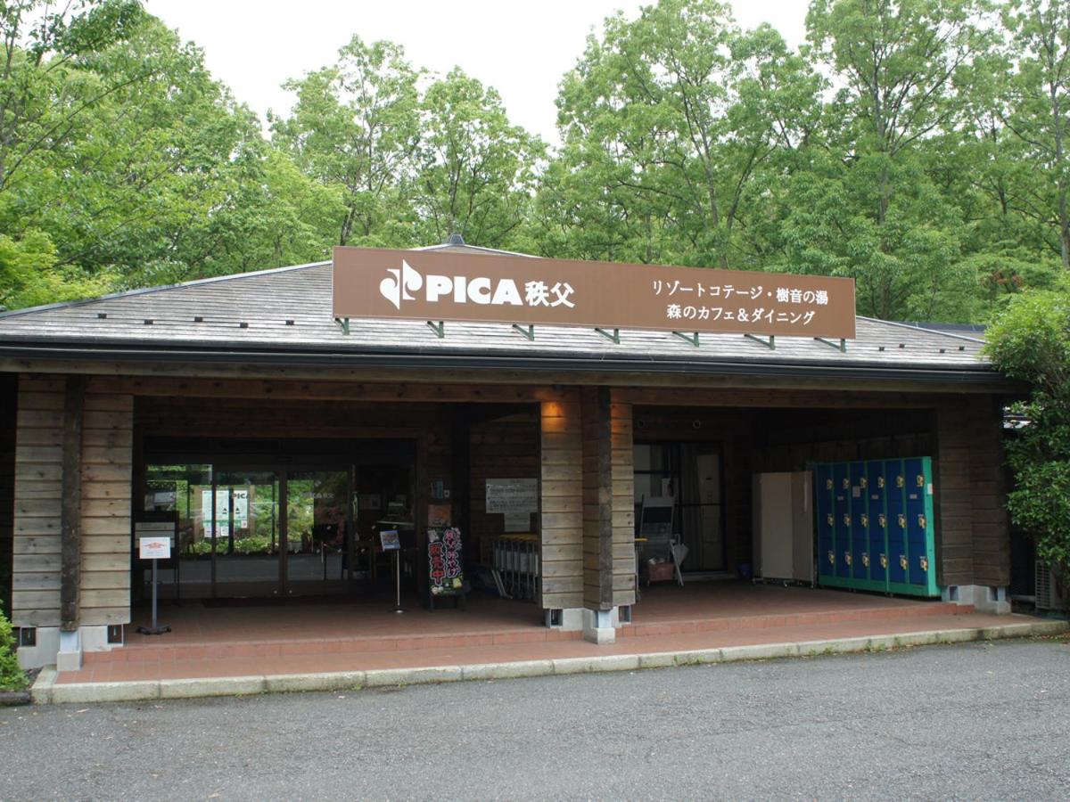 PICA Chichibu view 2