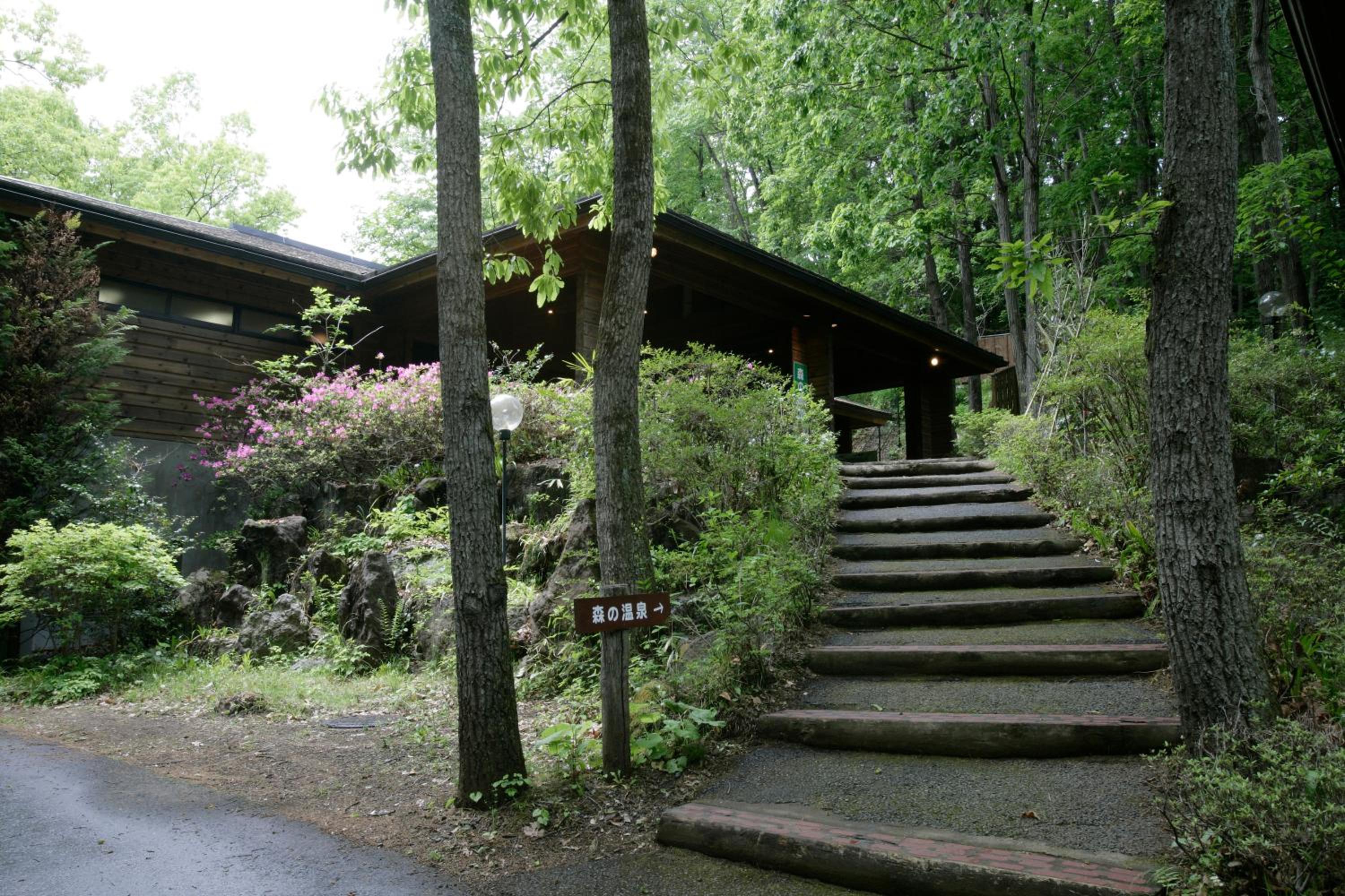 Photo 19