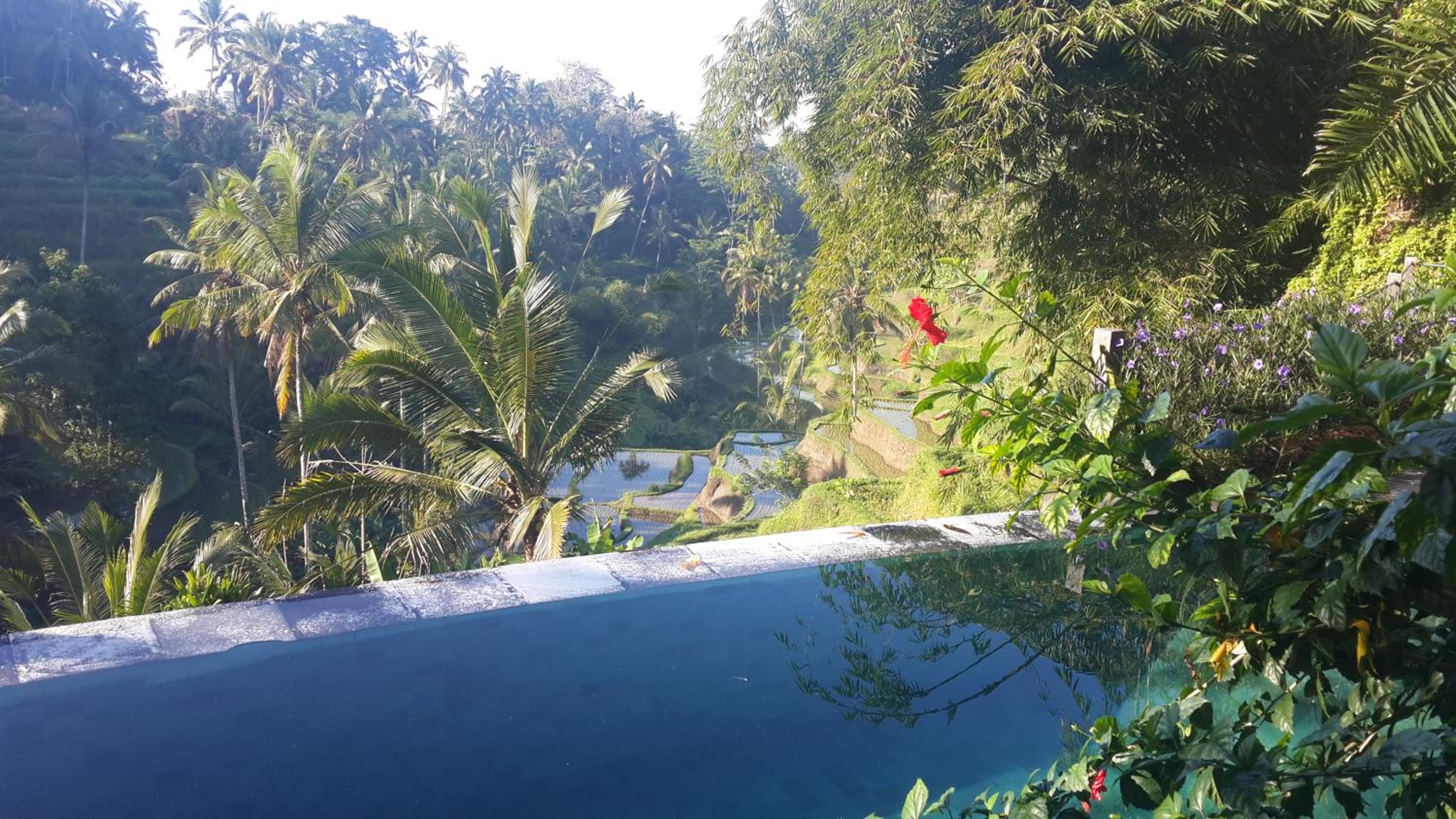 Villa Wedang view 2