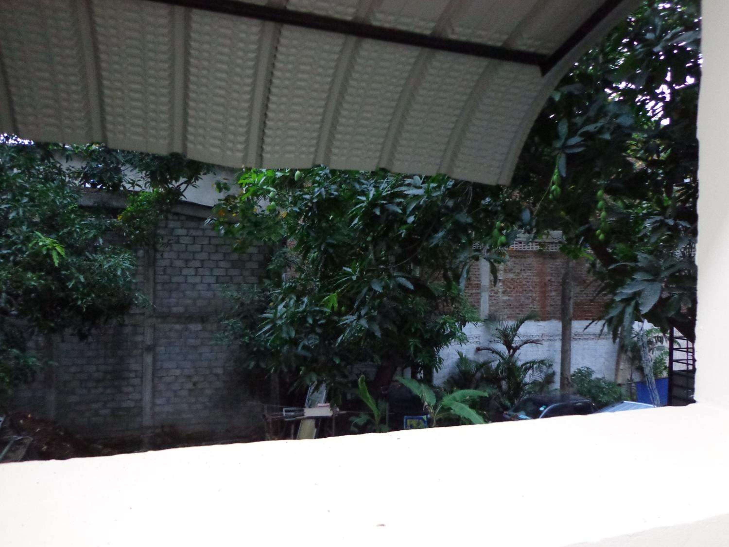 Photo 44