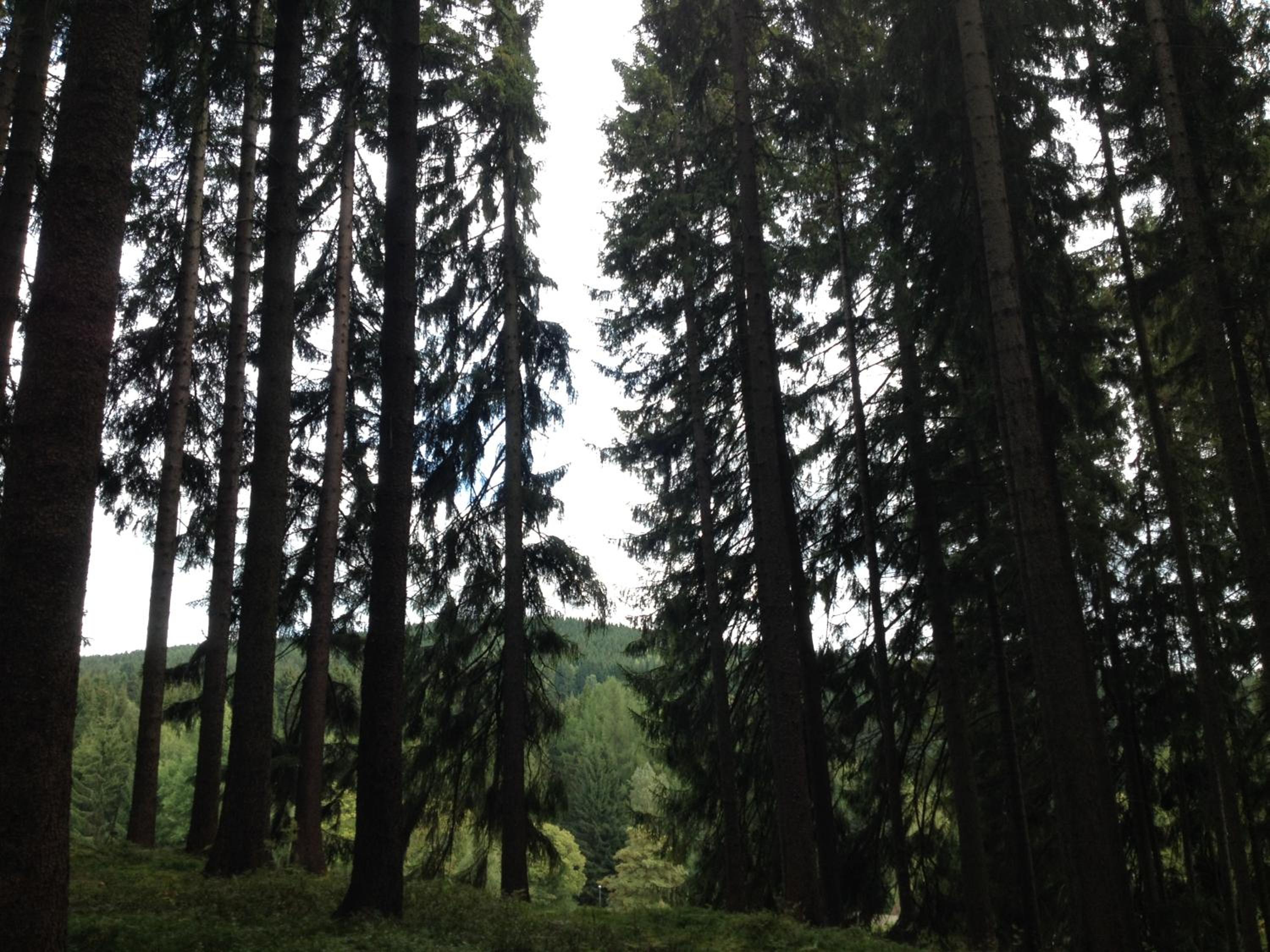 Pension U Jelinka