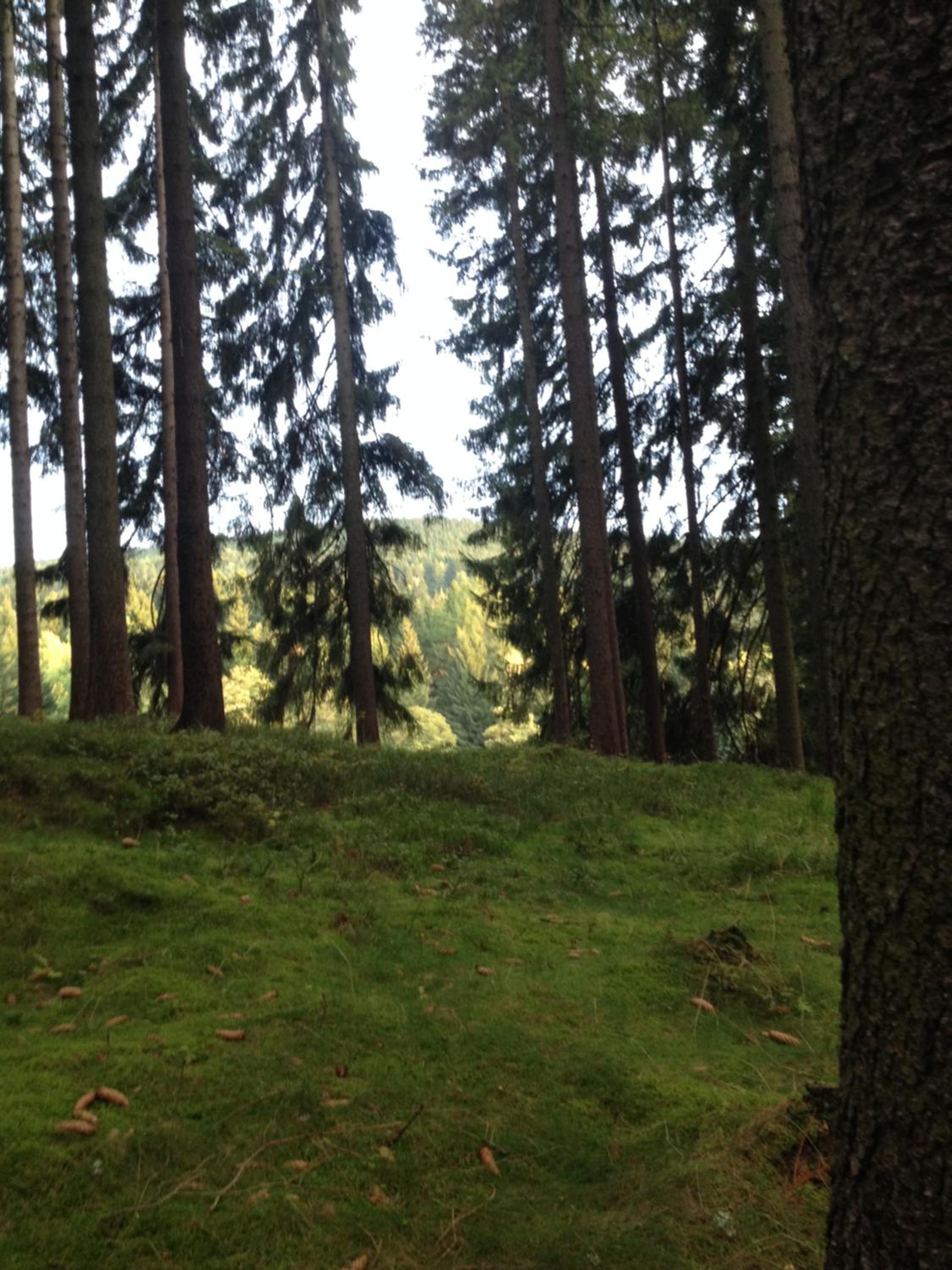 Pension U Jelinka