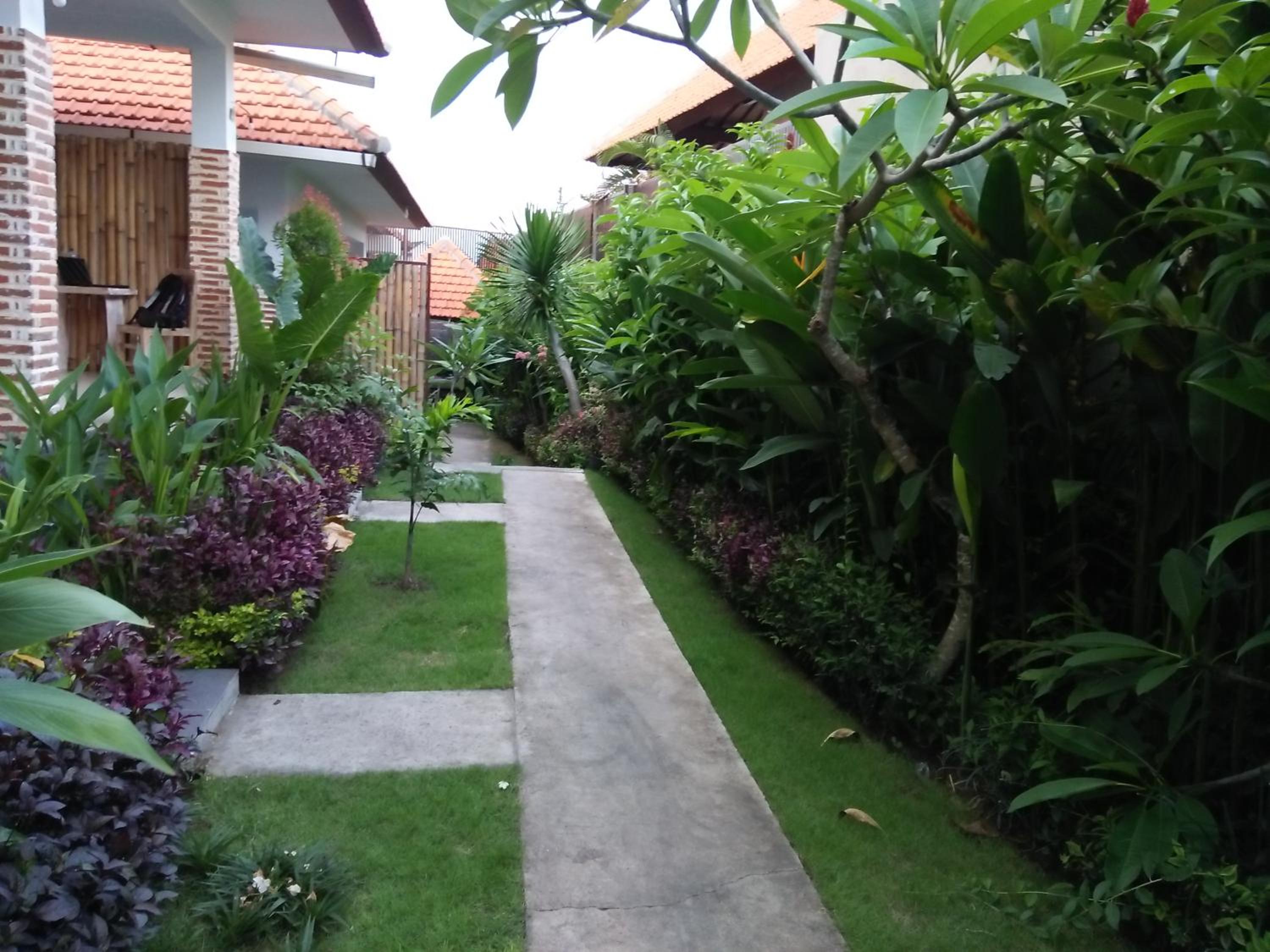 Photo 41