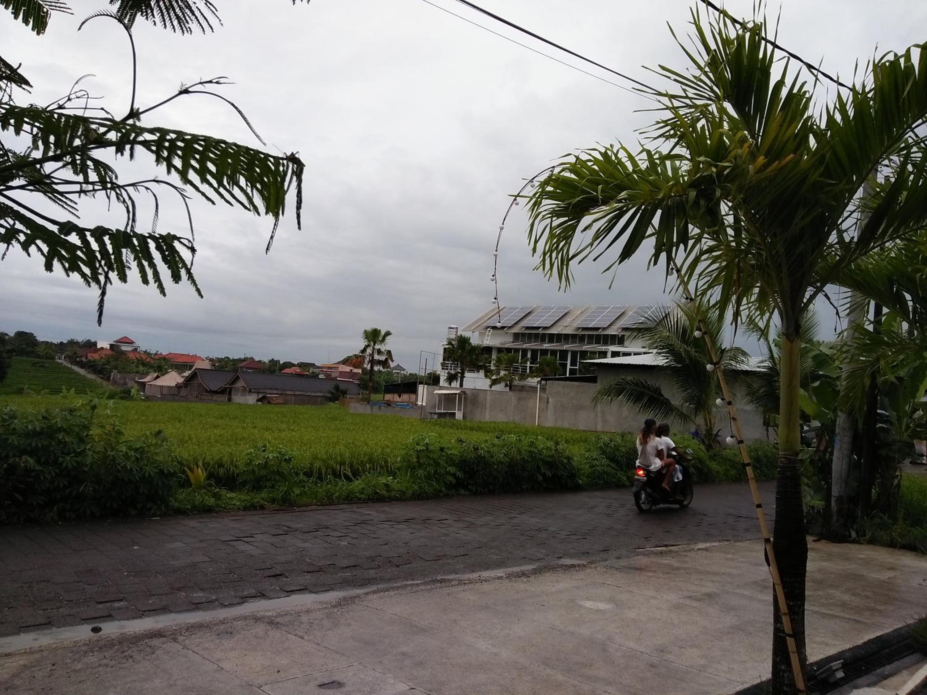 Photo 40