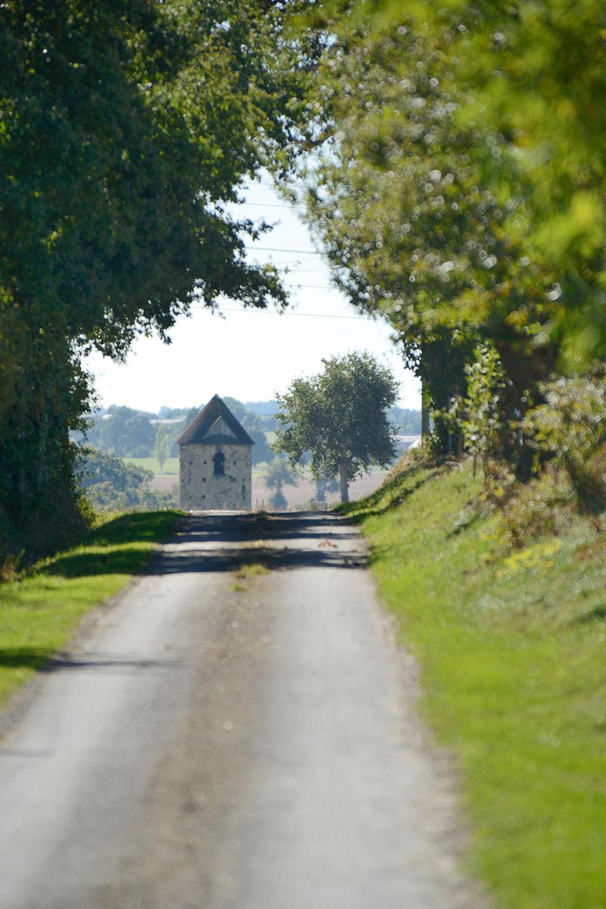 Domaine de la Cour