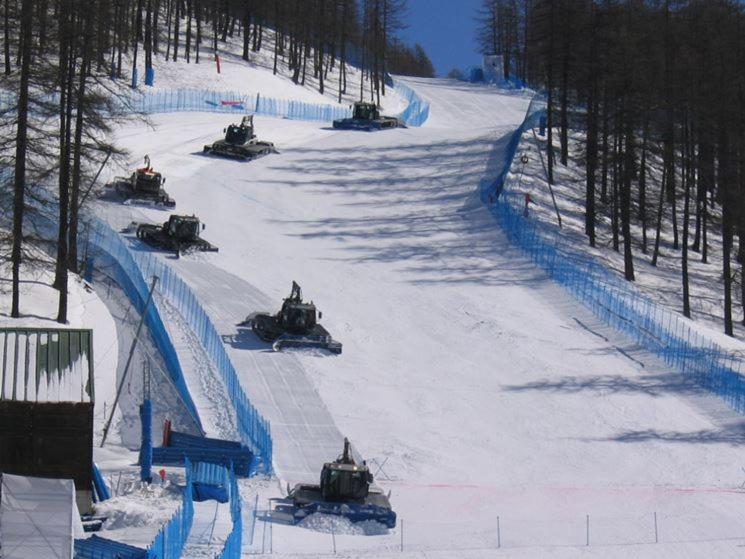 Nevesestriere