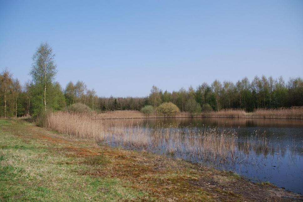 Photo 24