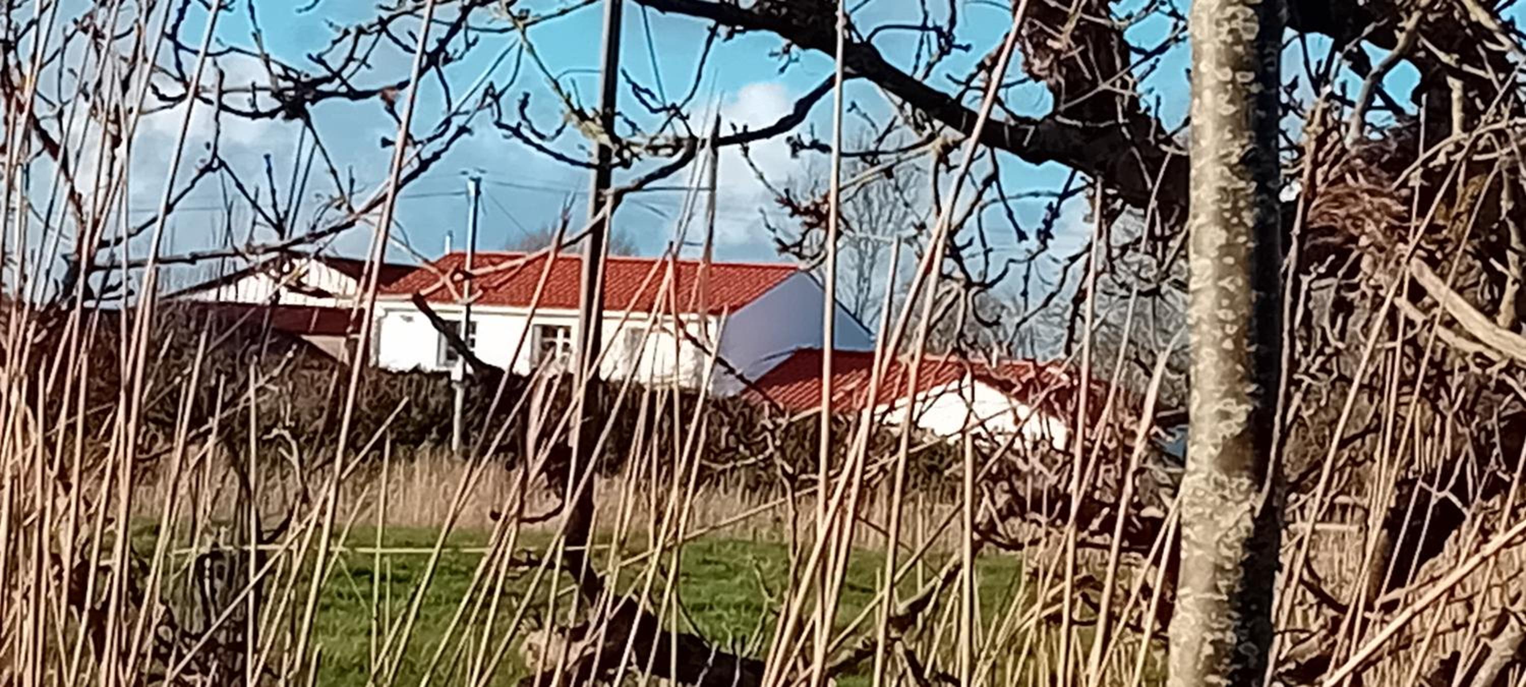 Auberge BonBeauJoli, photo 53