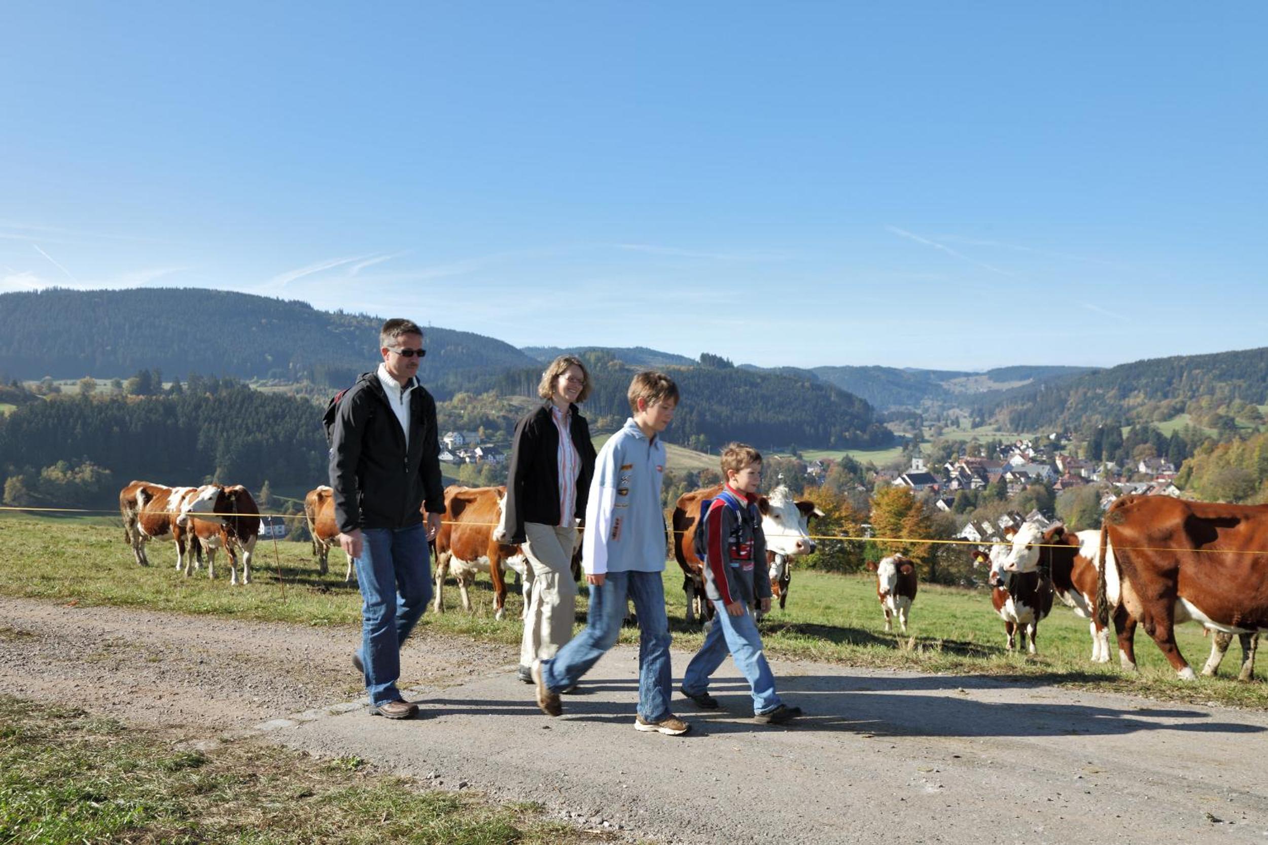 Pension Waldwinkel