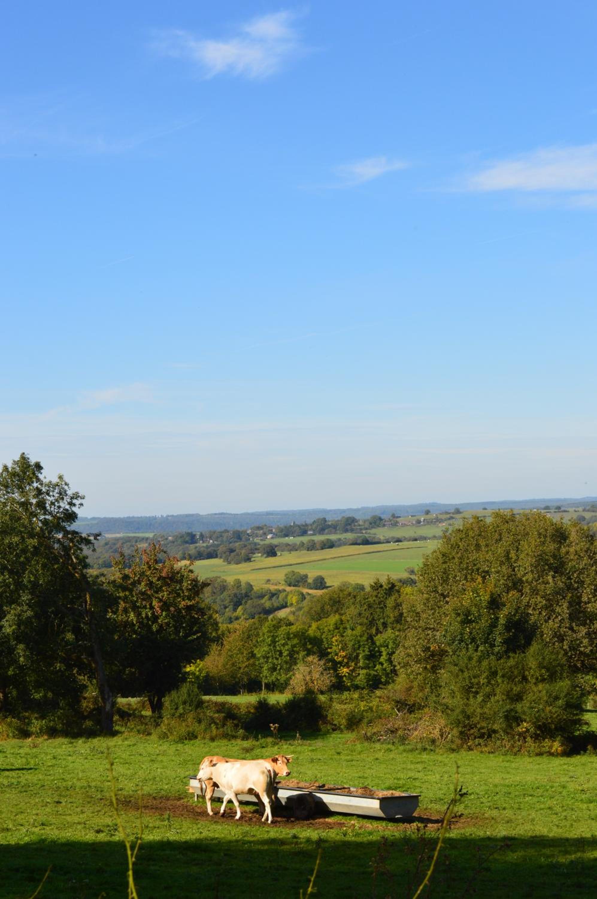 La Lisière