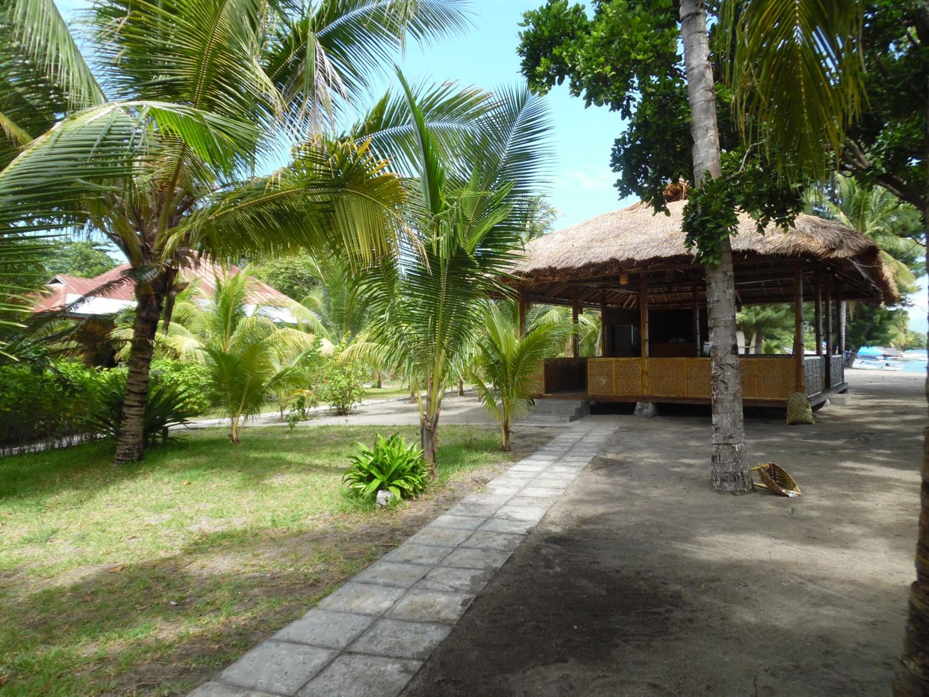 Photo 19