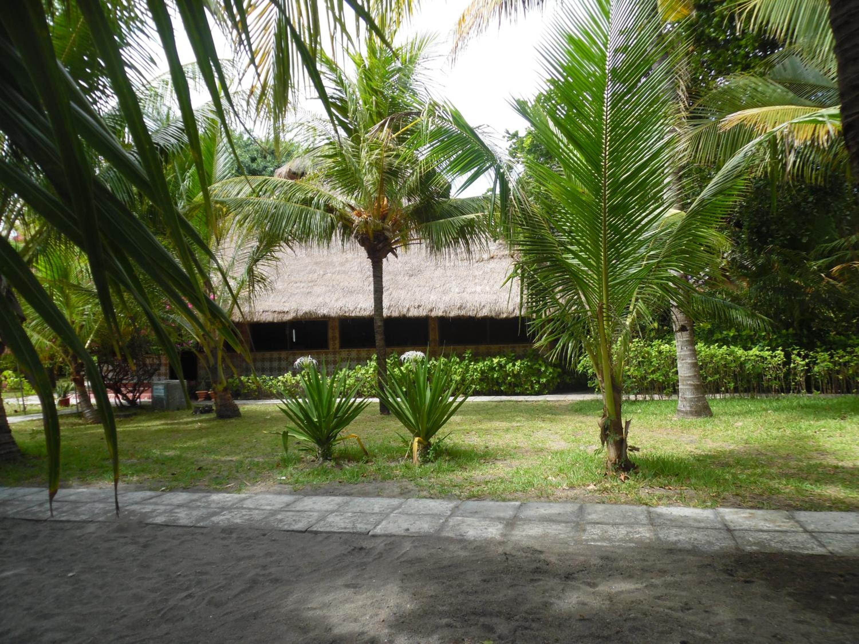 Photo 21