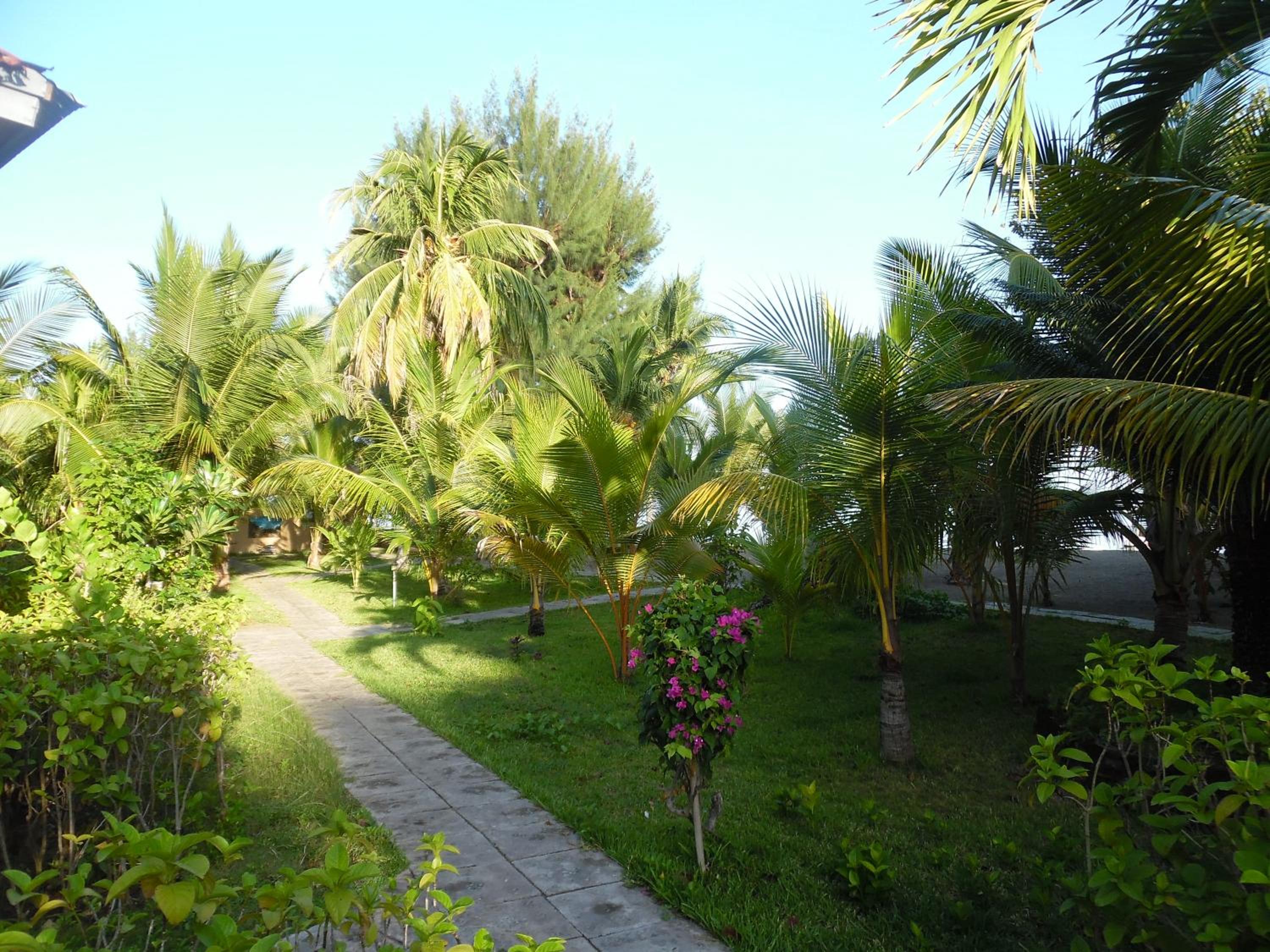 Photo 22