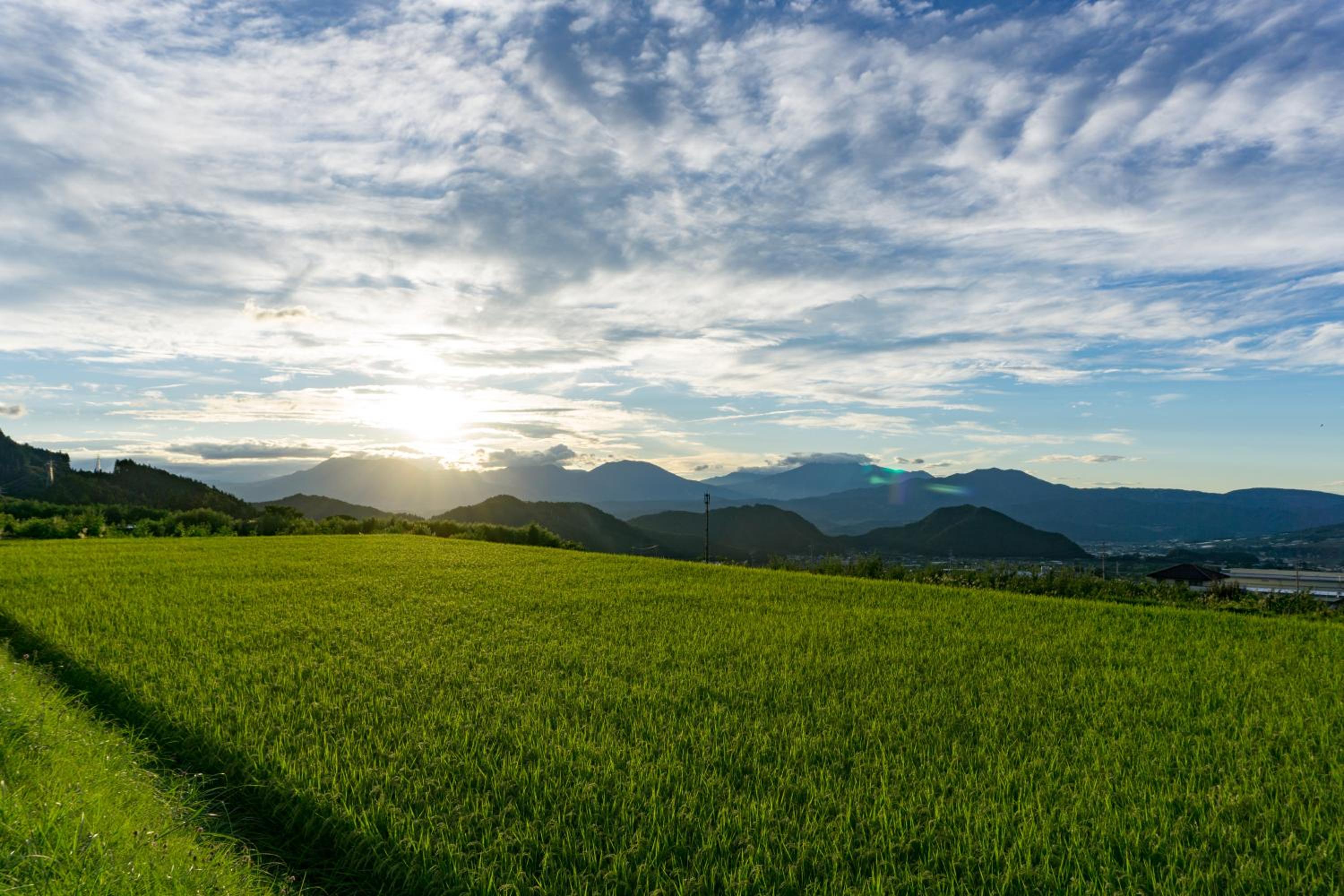 AIBIYA