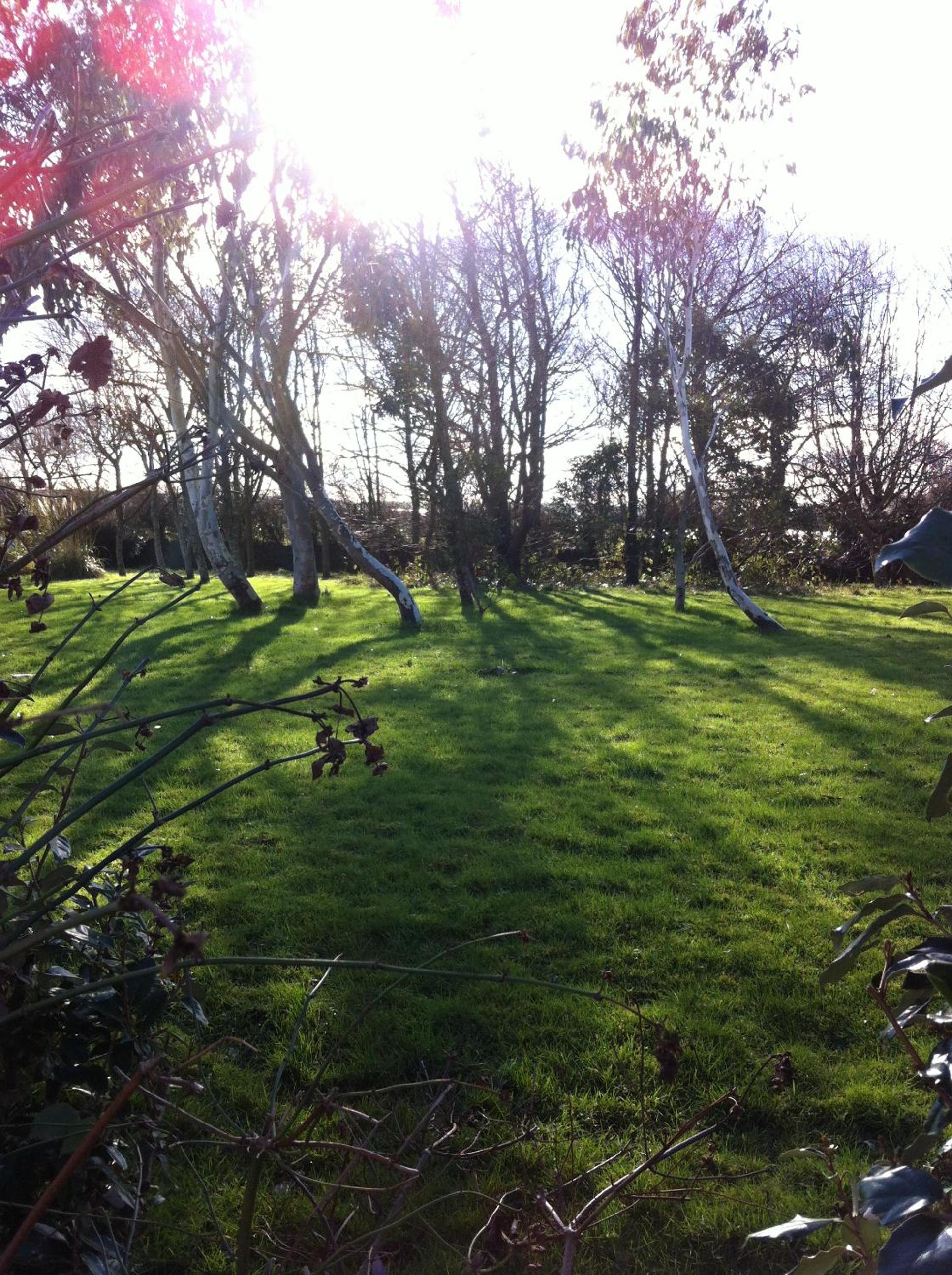 Photo 45