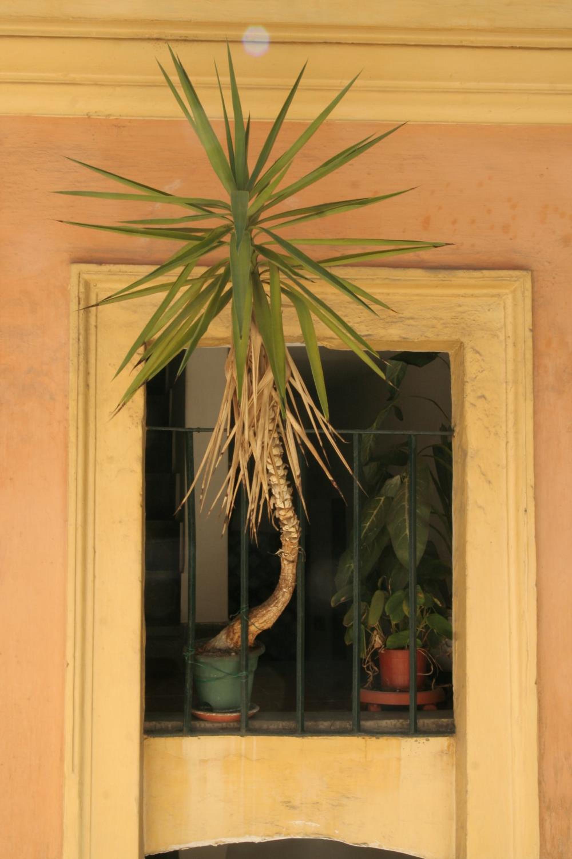 Atmosphera Trastevere, Glamour apartment in the center