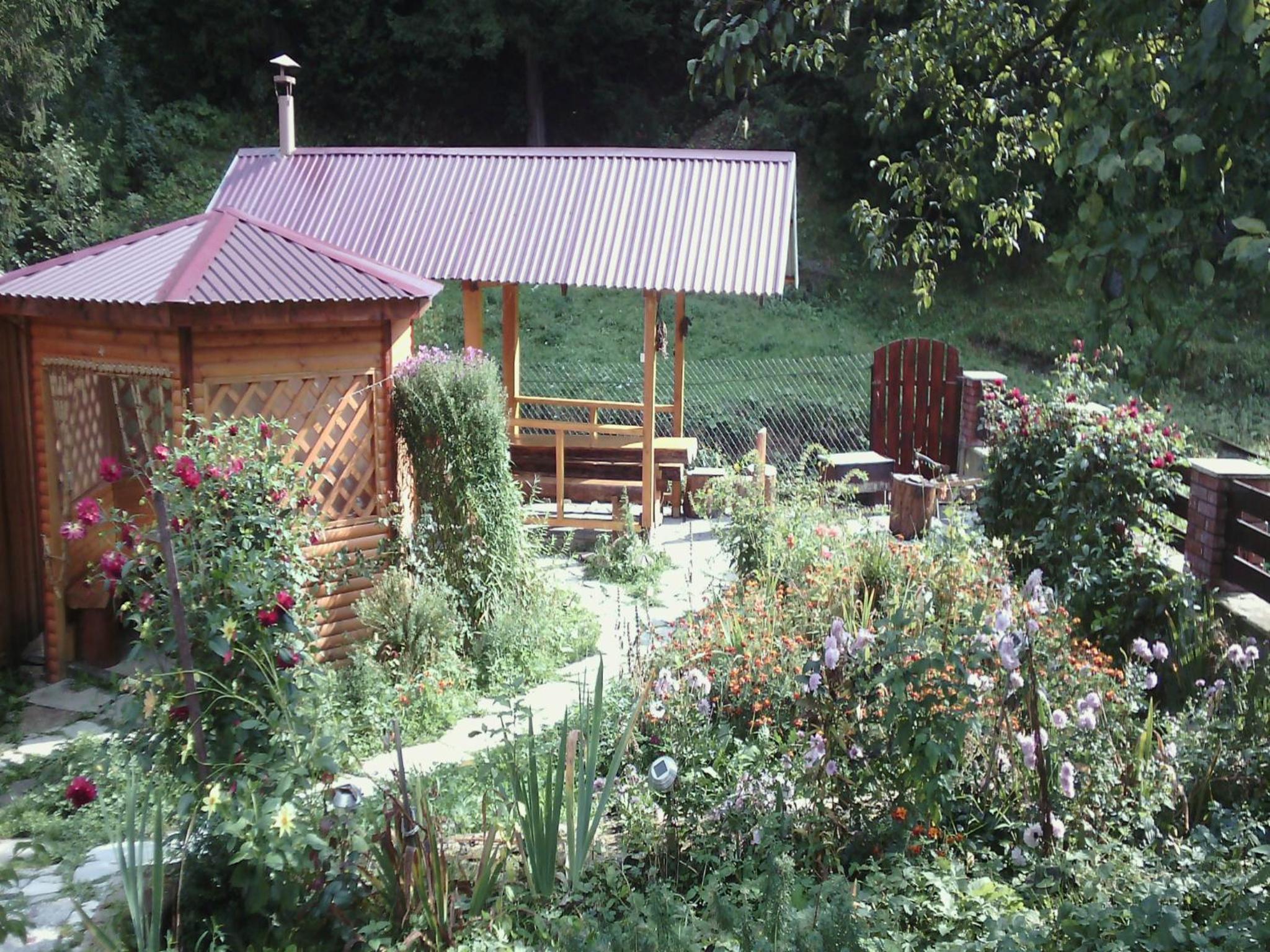 Photo 9